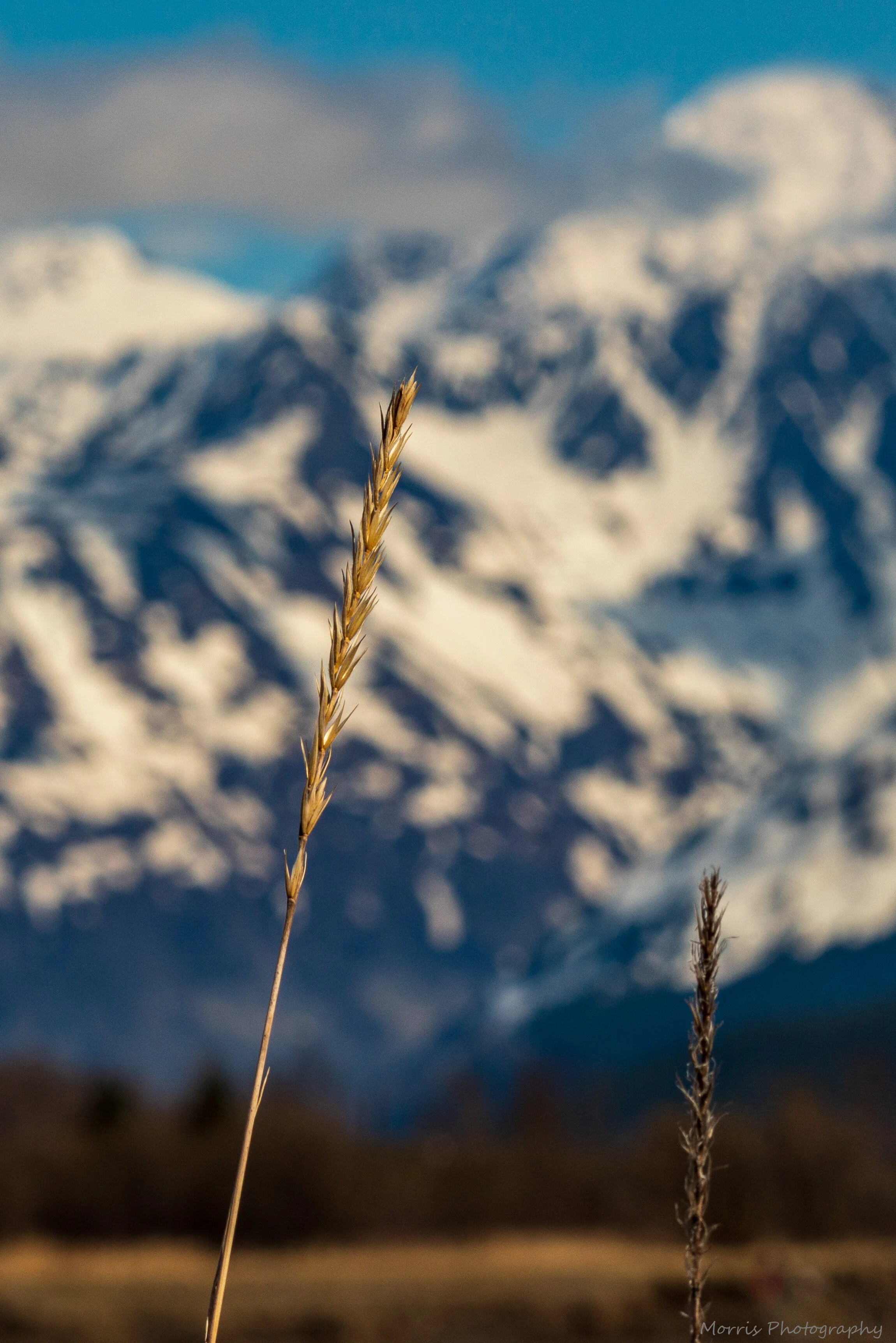 Alaska_Edits-22.jpg