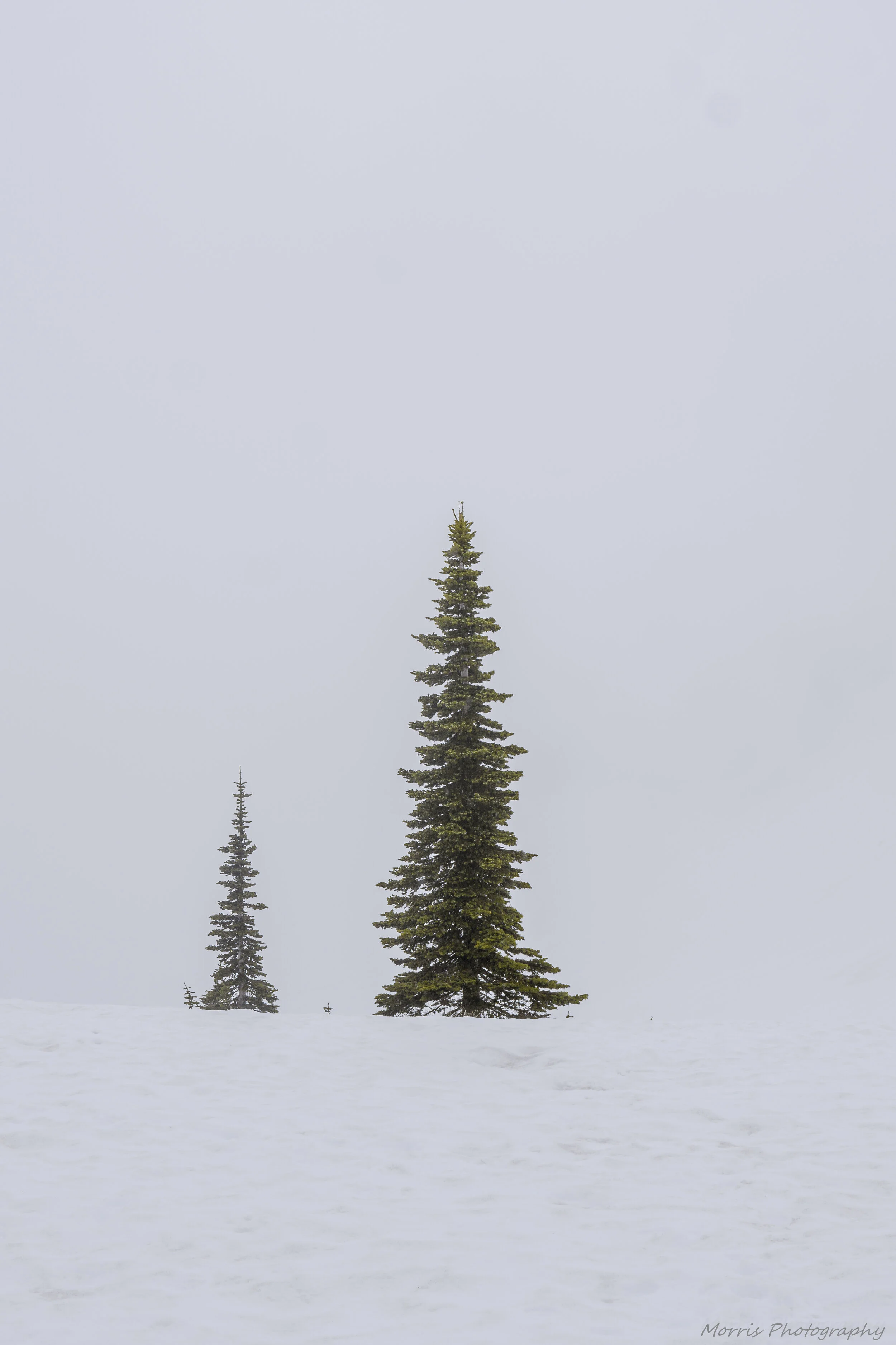 Mt_Ranier-3.jpg