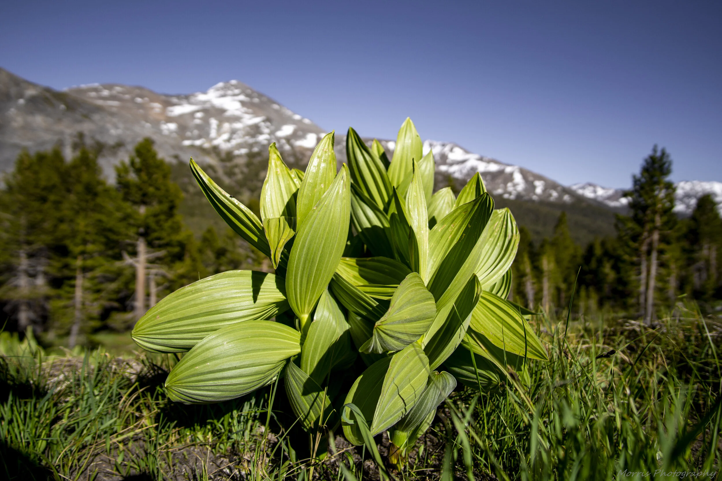 Yosemite_Seq-24.jpg