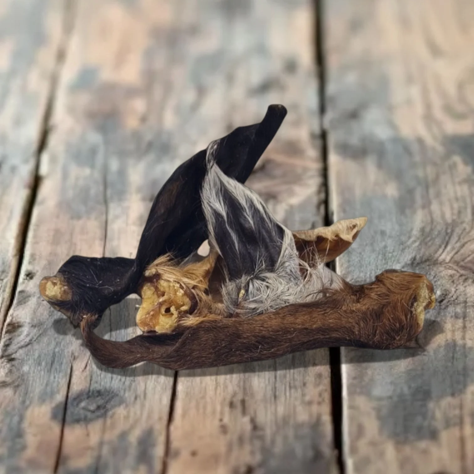 lambs ears with fur Natural puppy and dog treats Pet Aqua, Chatham Medway Kent