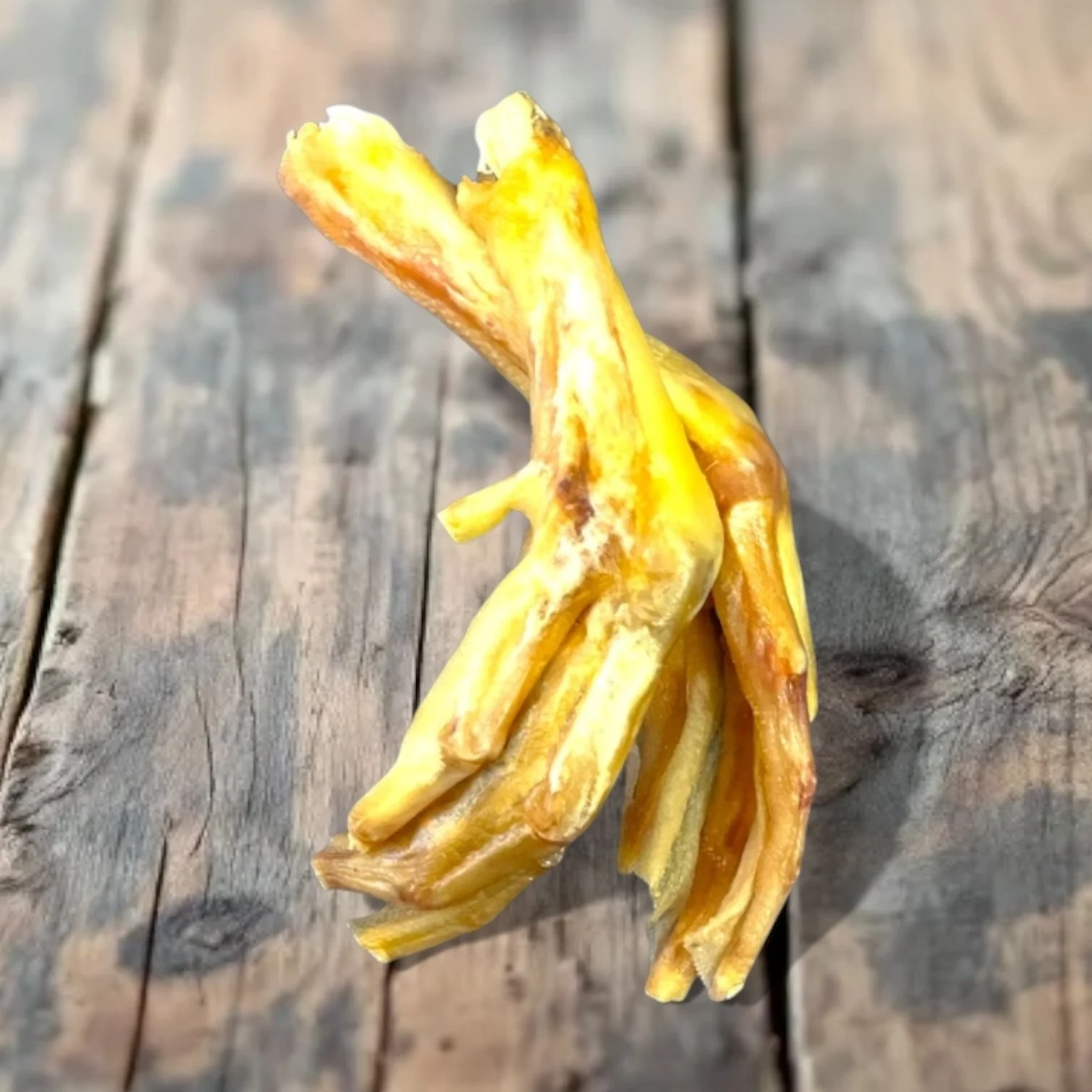 100% Natural Goose Foot For Dogs & Puppies