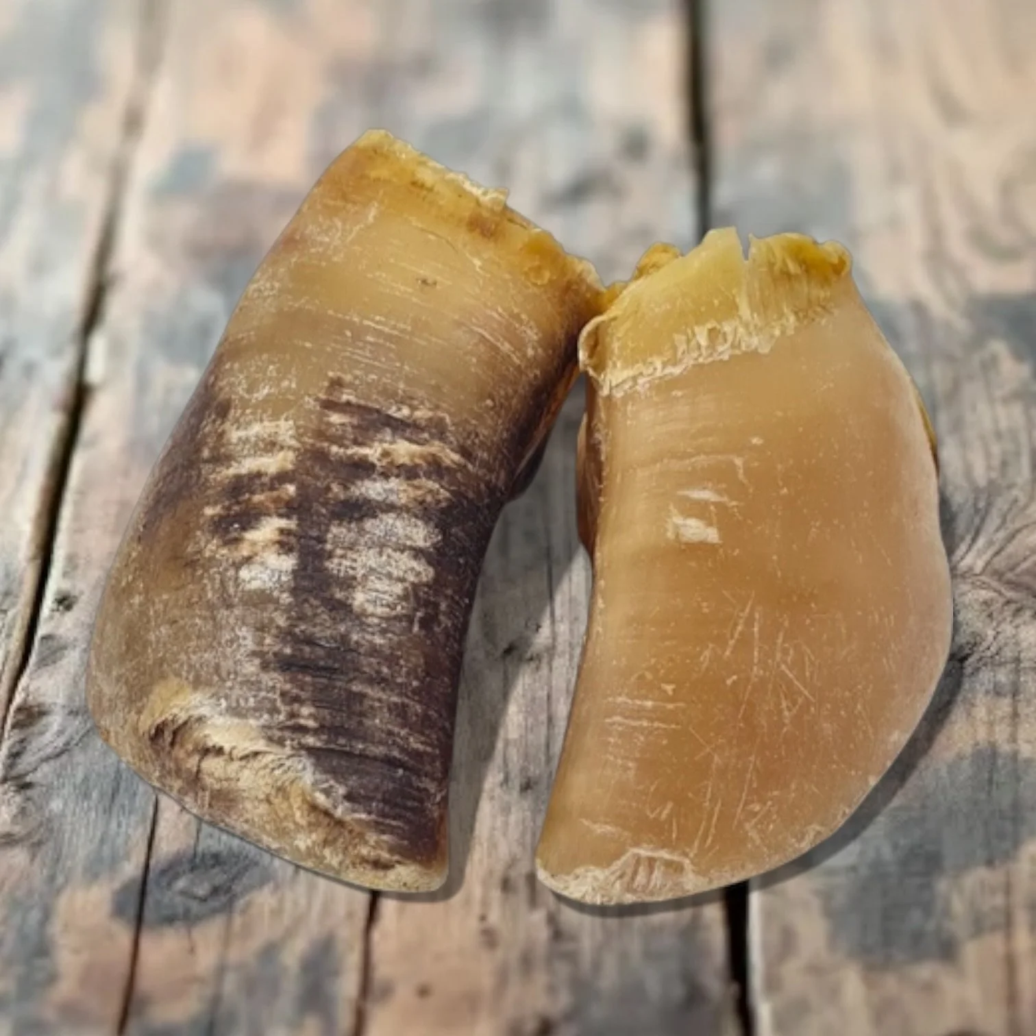 100% Natural Cow Hoof - Hollow For Dogs & Puppies