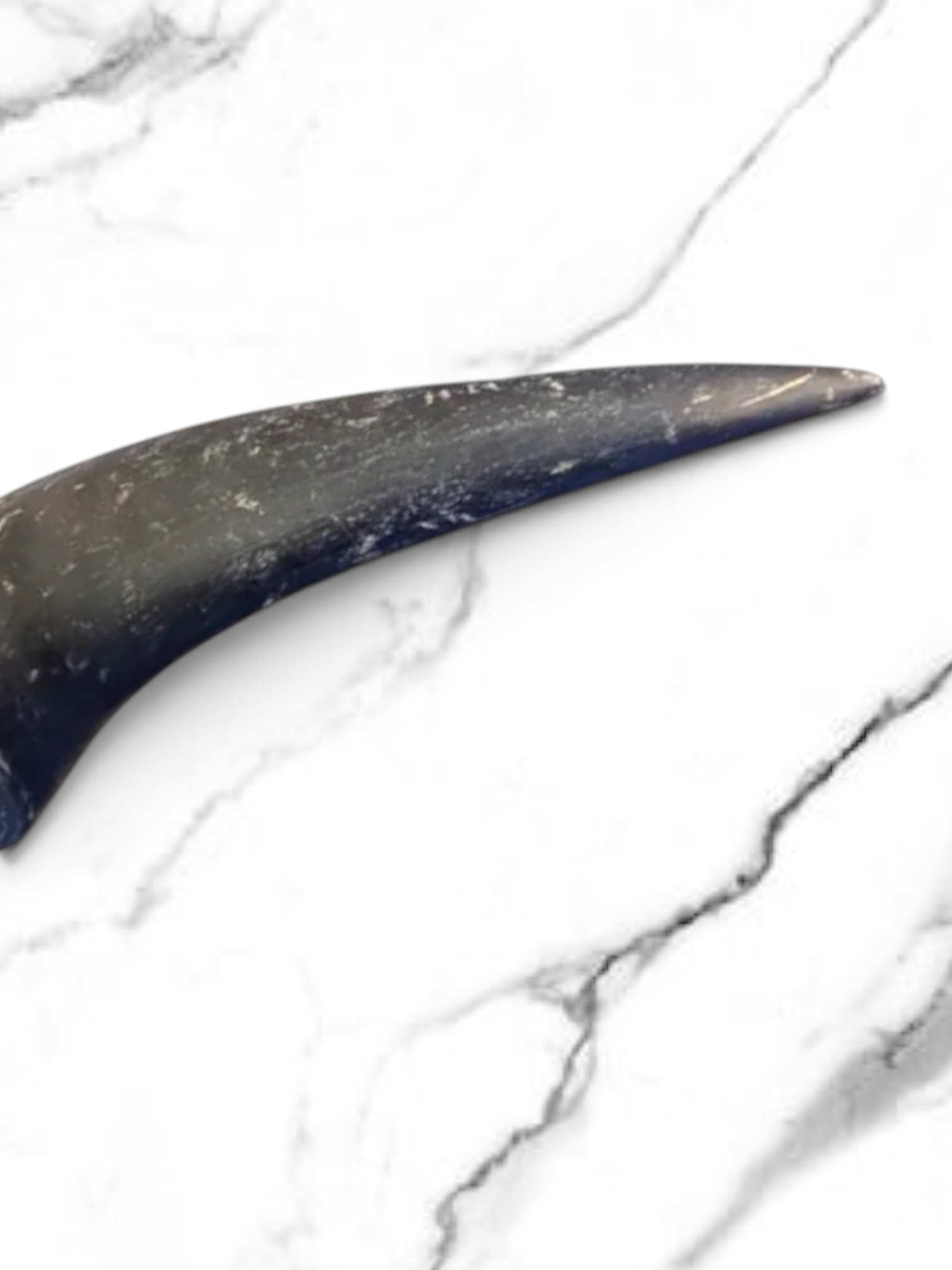 100% Natural Buffalo Horn Treats For Dogs of all sizes