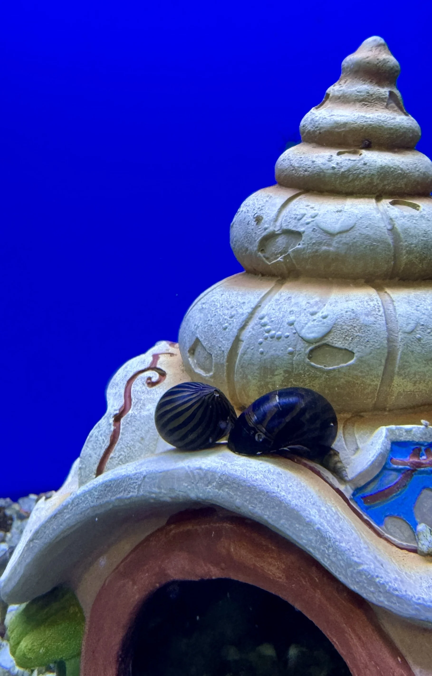 Close-up of a ceramic sculpture resembling a pagoda with snail shells on it, against a blue background.