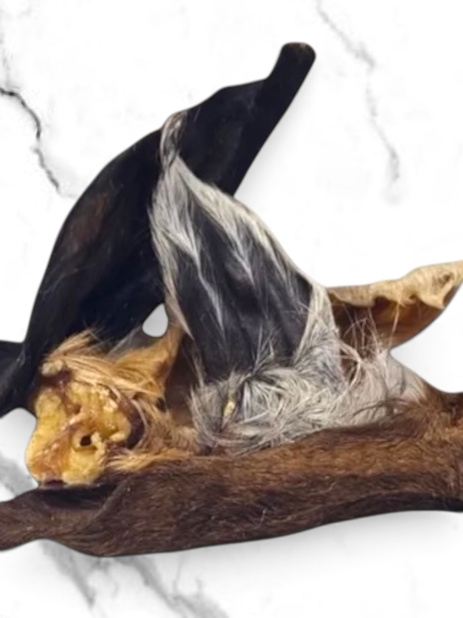 Premium Natural Lambs Ears with Fur For Dogs & Puppies