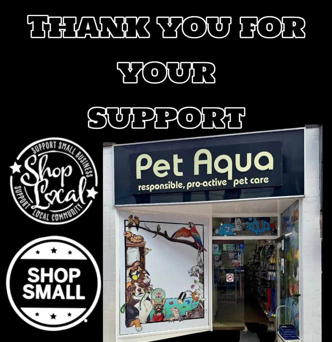 25 Years of Aquarium Excellence in Medway