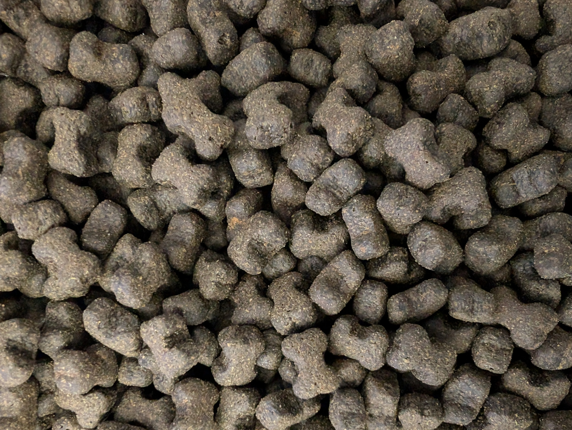 dental high protein dog treats