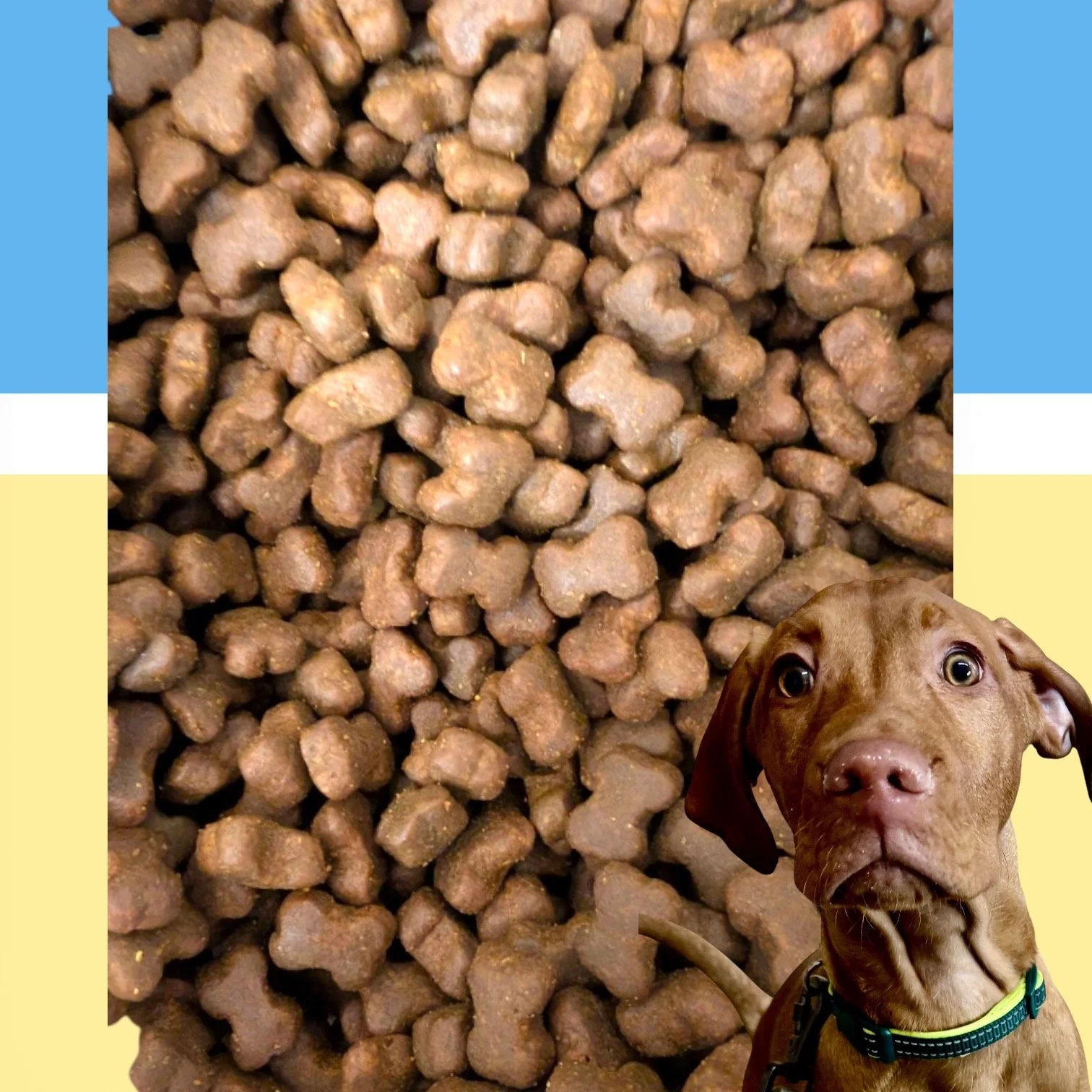 80% Training treat for puppies and dogs