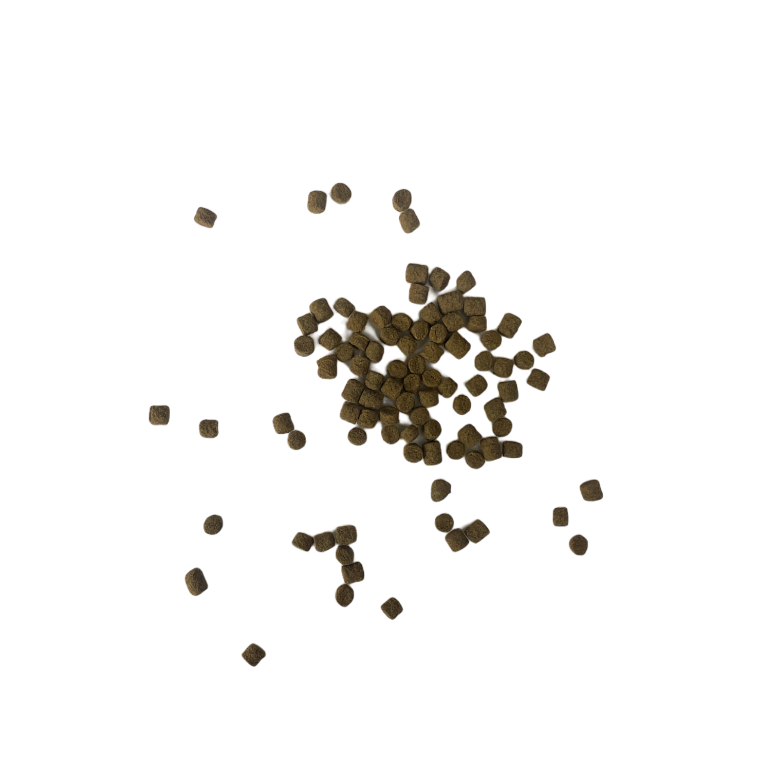 Photoroom_20240329_083244.png