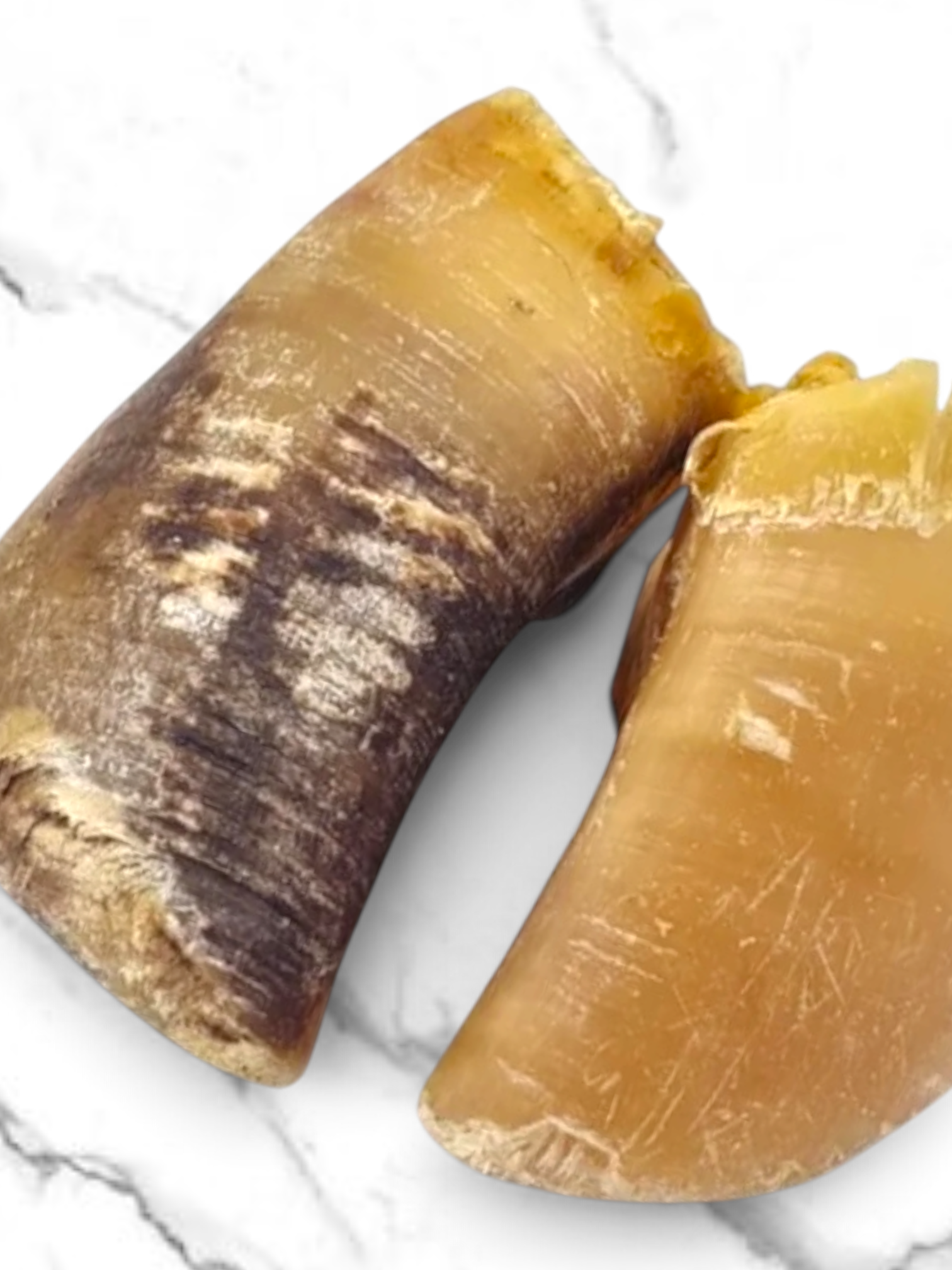 100% Natural Cow Hoof - Hollow For Dogs & Puppies