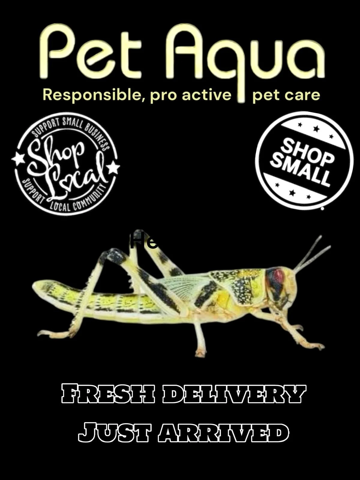 Reptile food Medway
