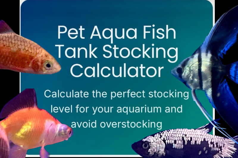 A digital advertisement for a Pet Aqua Fish Tank Stocking Calculator featuring three different aquarium fish: a red and orange fish on the top left, a colorful orange and white fish at the bottom left, and a black and white fish and a blue fish on the right side.