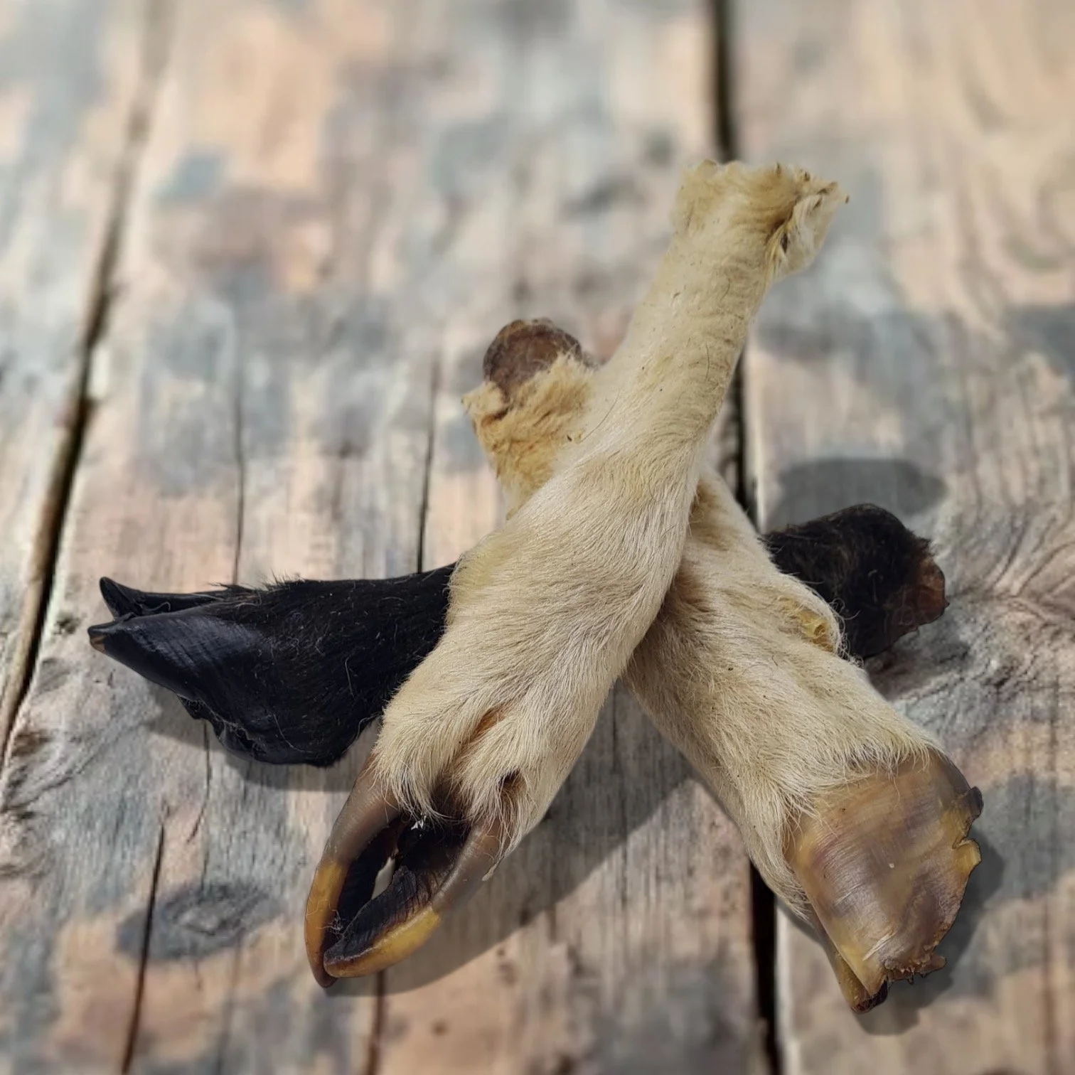 100% Natural Hairy Lamb Trotters For Dogs & Puppies