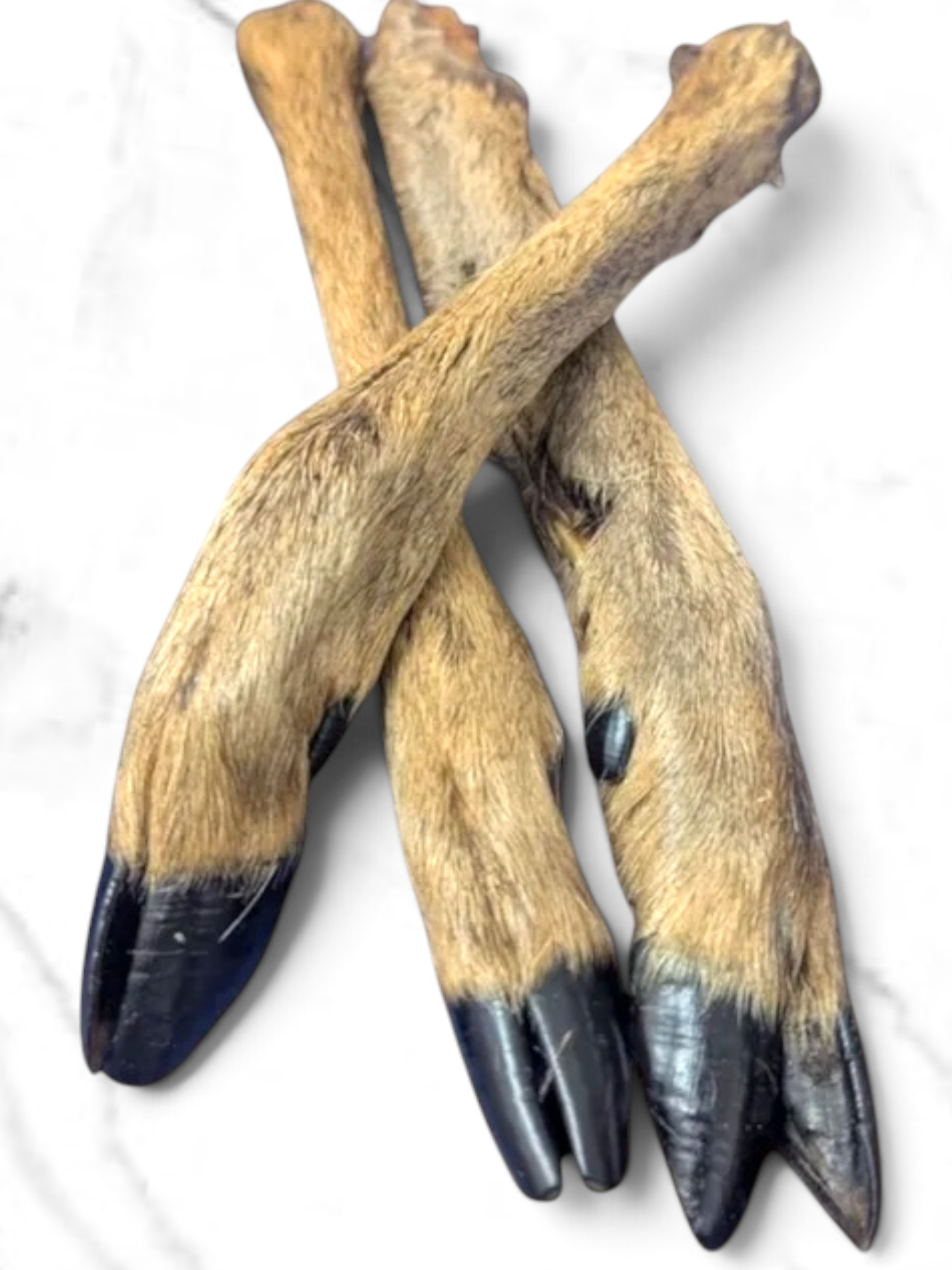 Premium 100% Natural Hairy Roe Deer Legs for Dogs