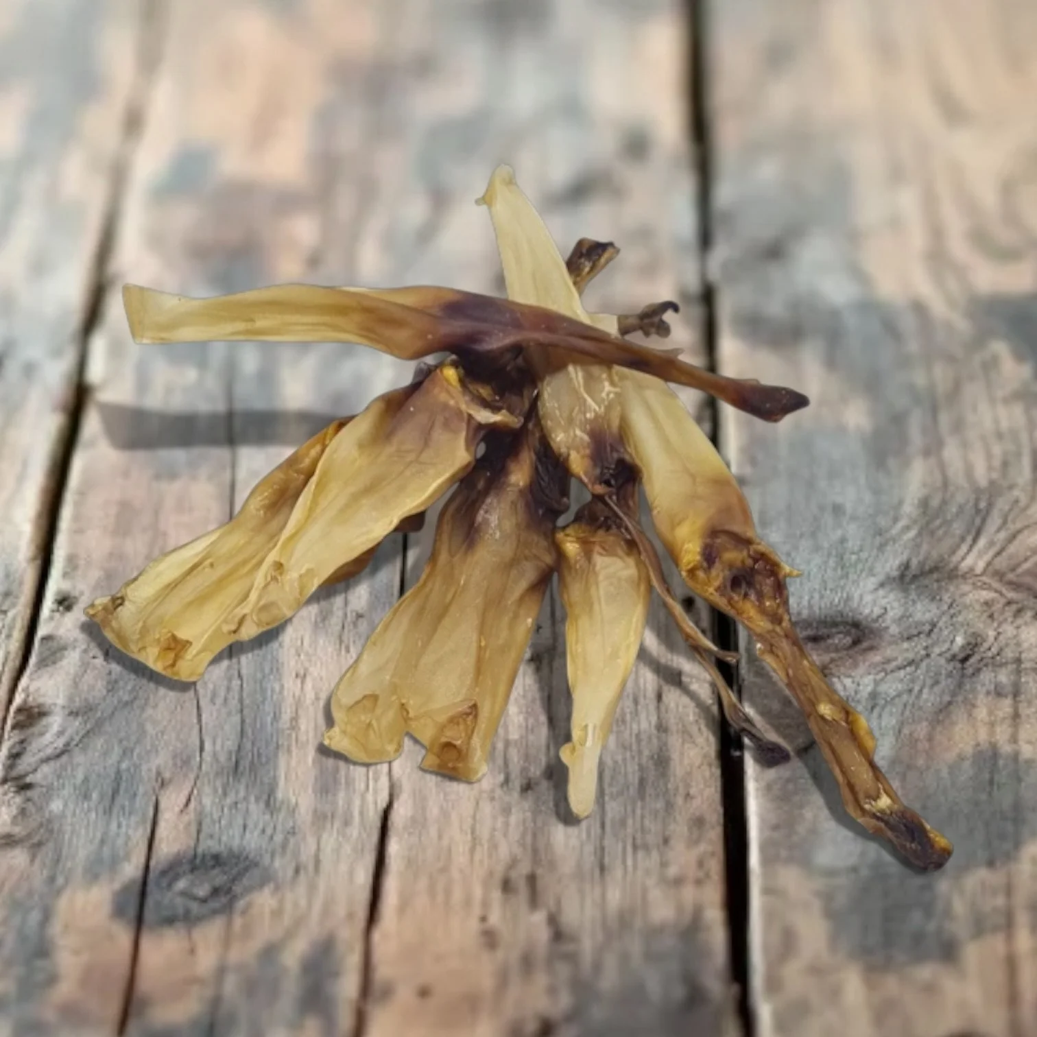 Rabbit ears Natural puppy and dog treats Pet Aqua, Chatham Medway Kent