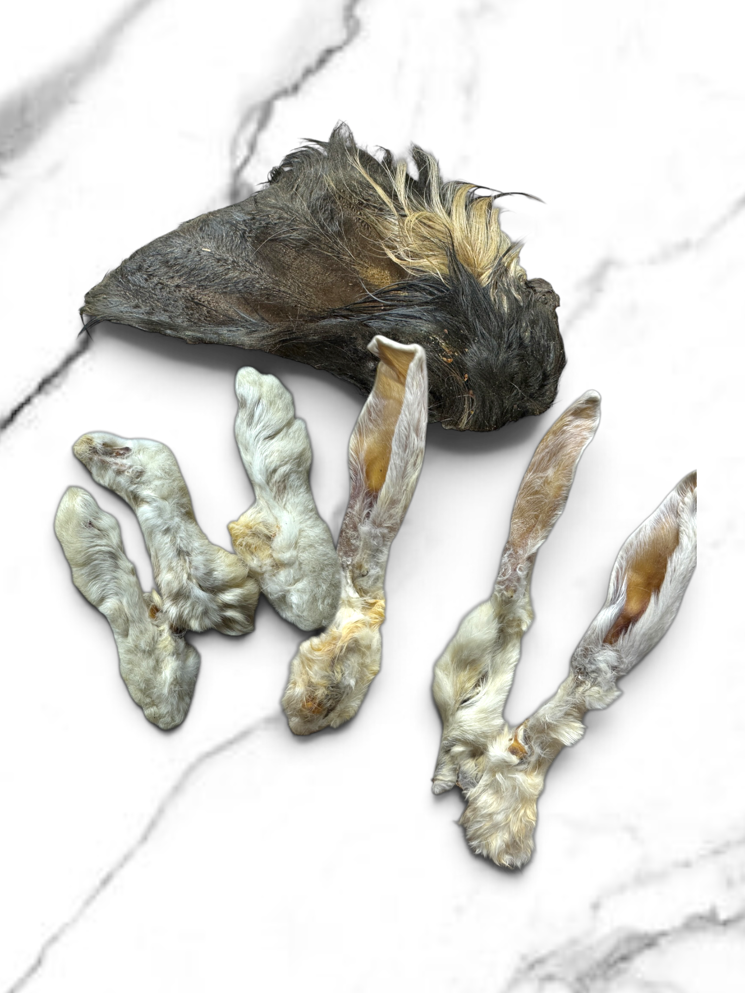 Hair Today gone Tomorrow - Natural Dog & Puppy Treats