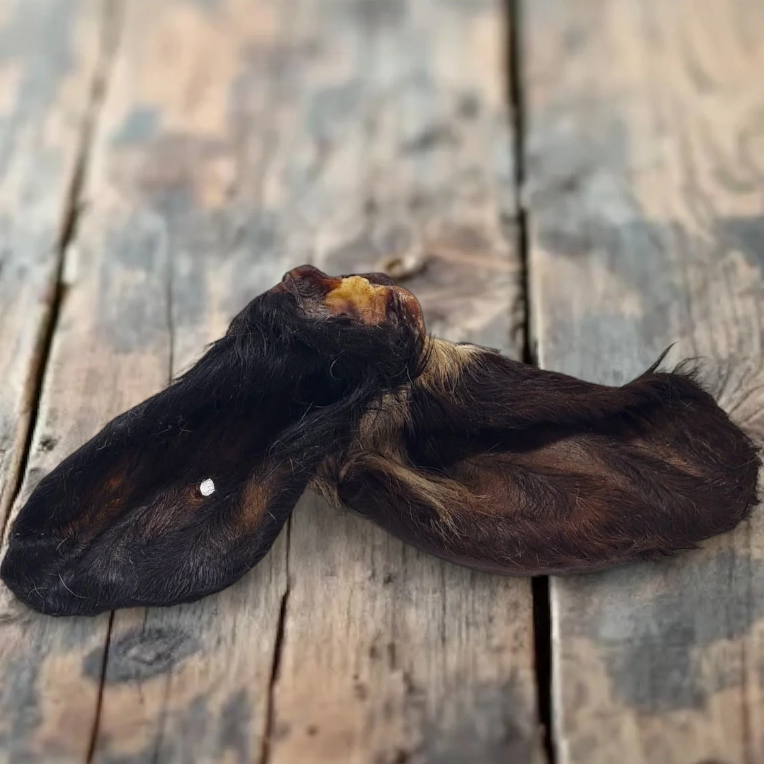 100% Natural Premium Large Cows Ear With Hair For Dogs