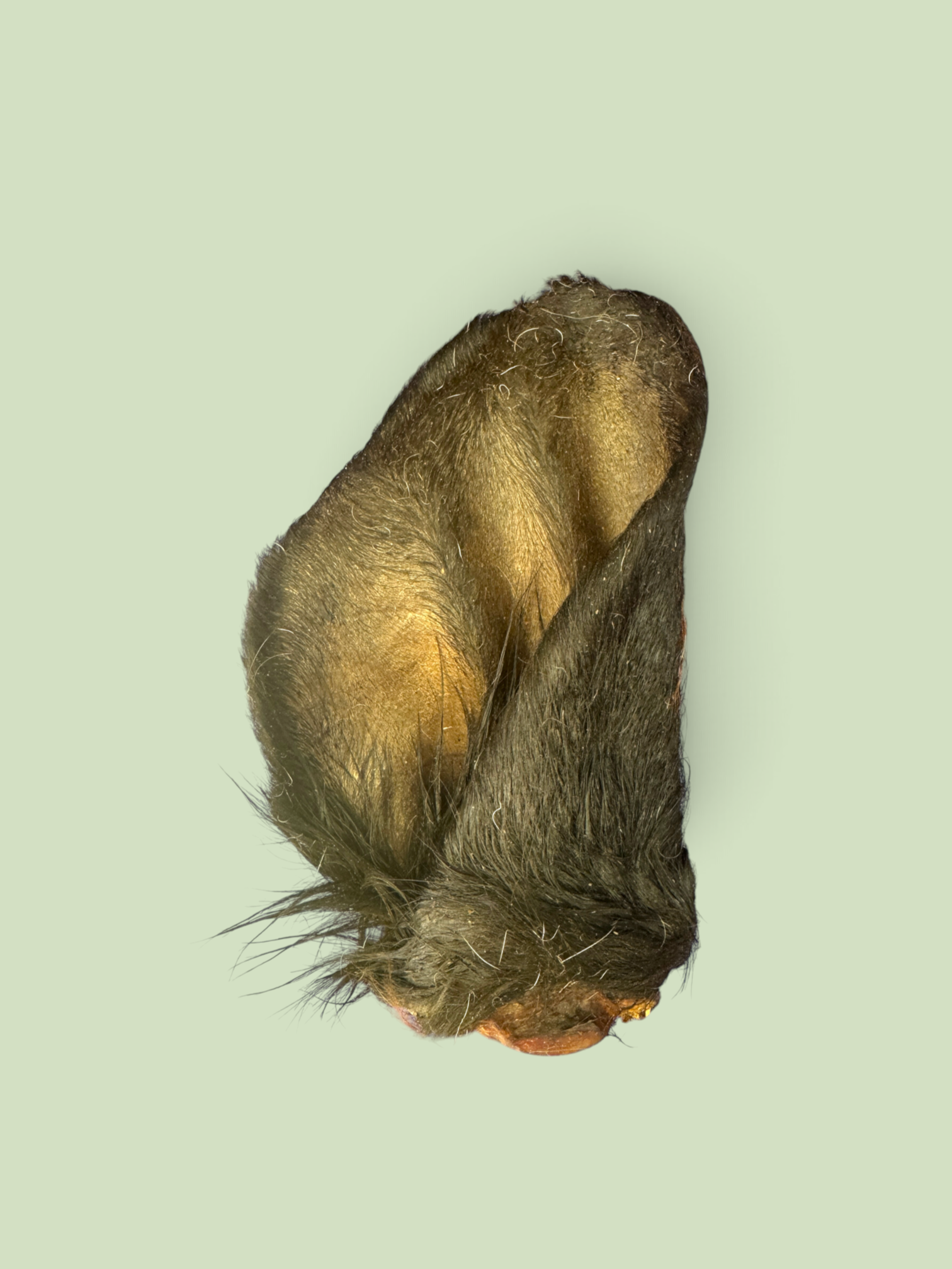 Photoroom_20260829_064746.png