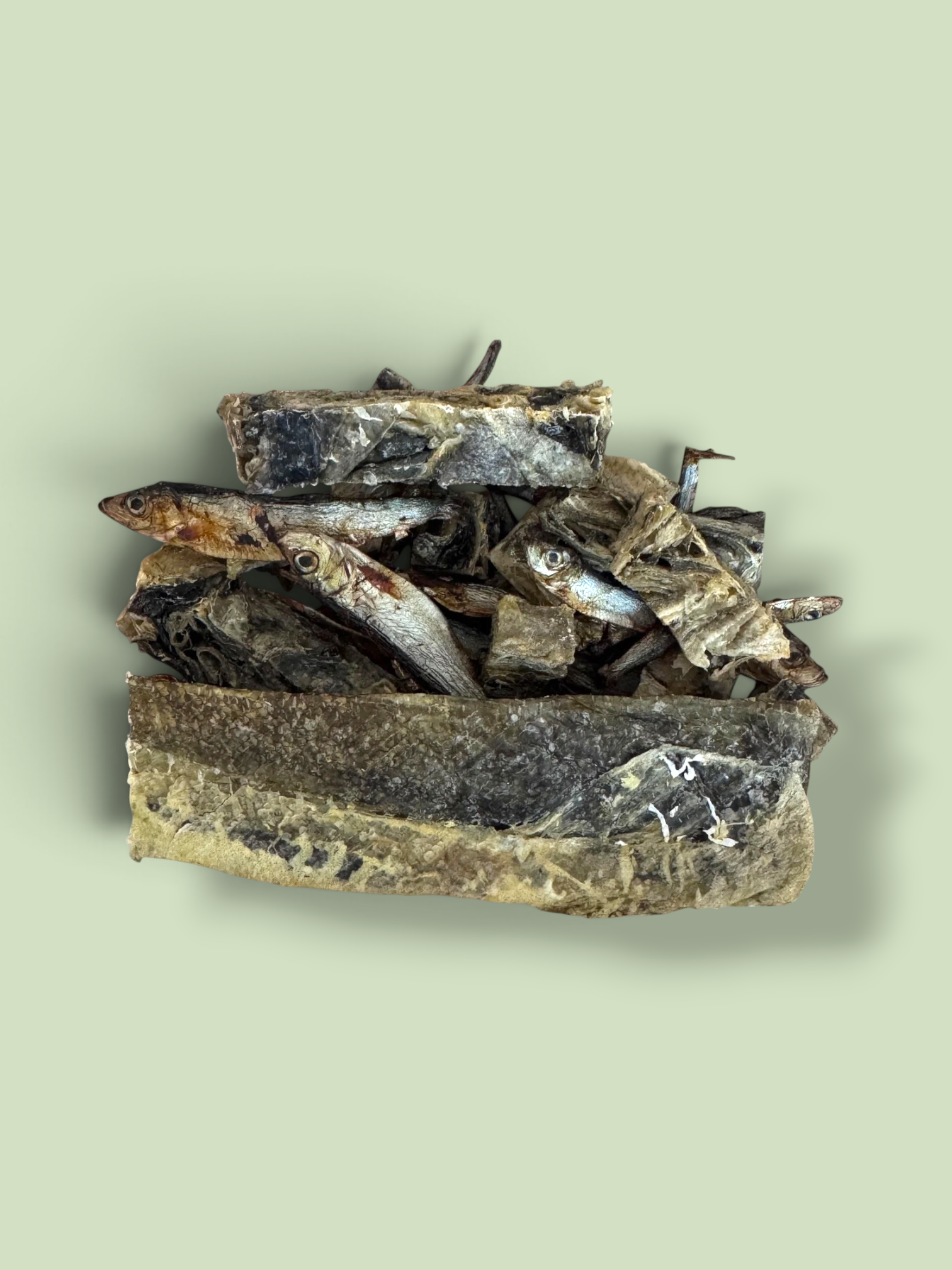 Photoroom_20260829_101730.png