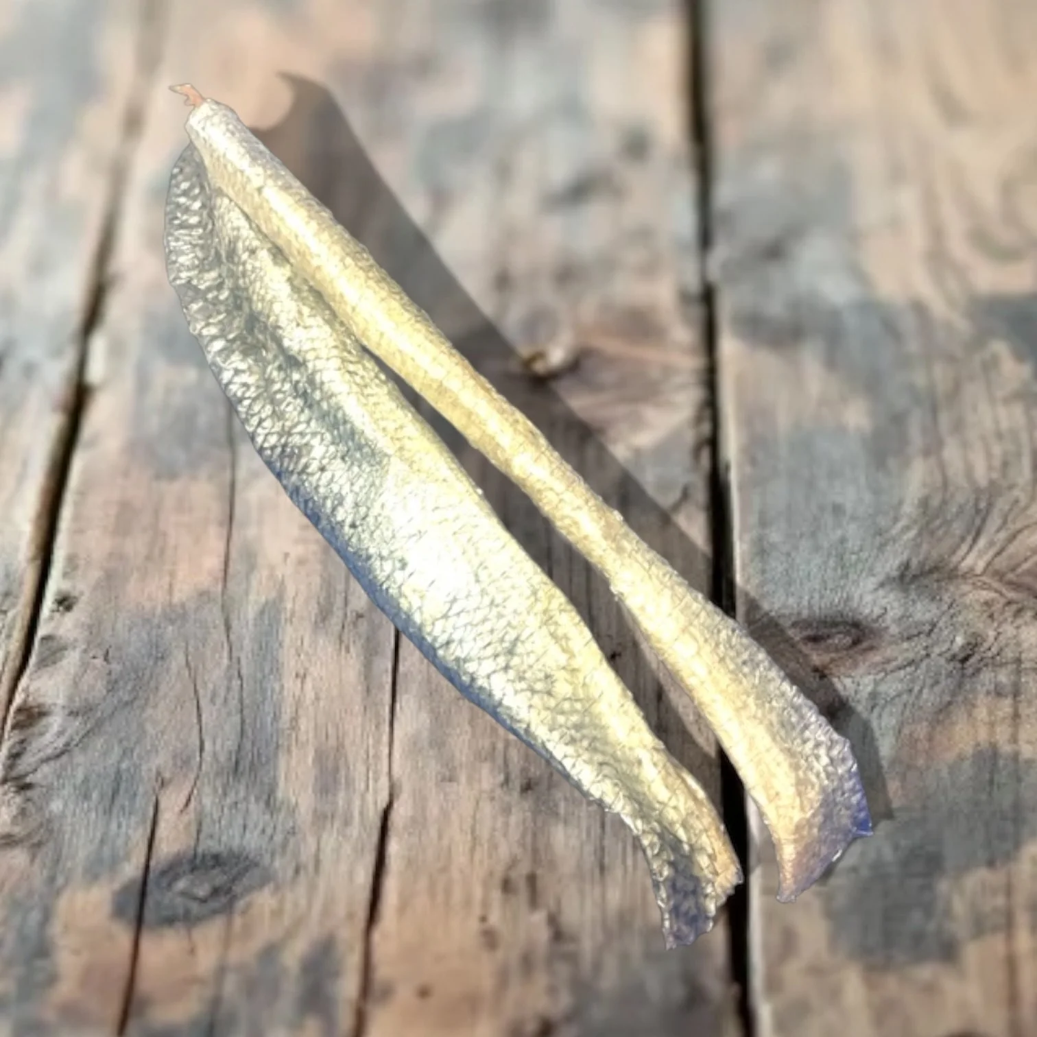 salmon Natural puppy and dog treats Pet Aqua, Chatham Medway Kent