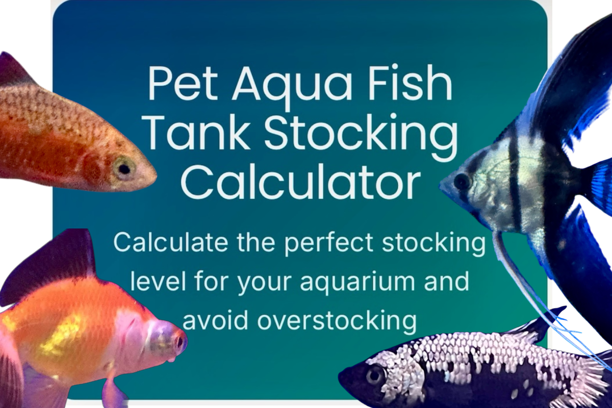 A promotional image for a pet aqua fish tank stocking calculator, with pictures of four different fish surrounding a blue-green background with white text.