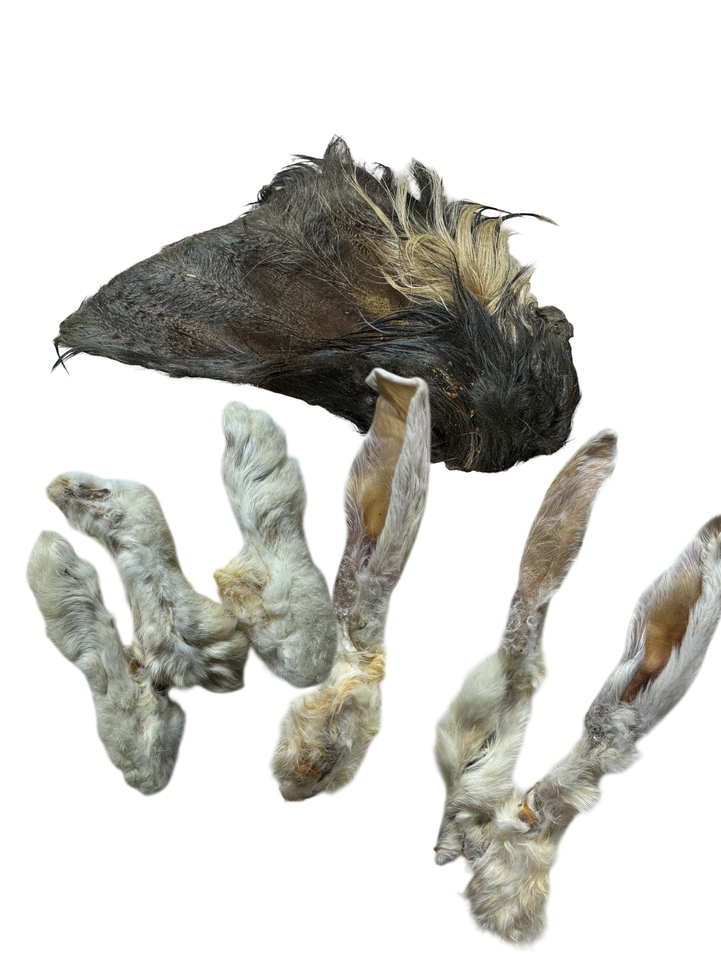 Hair Today gone Tomorrow - Natural Dog & Puppy Treats