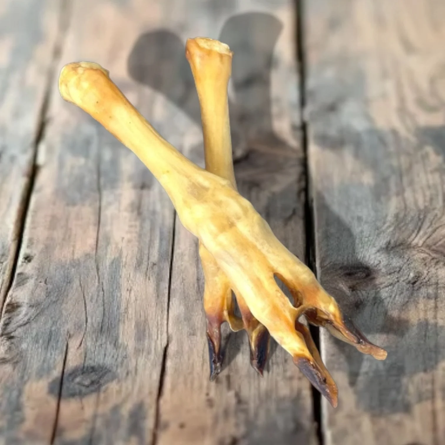 100% Natural Premium Lamb Trotters For Dogs and Puppies