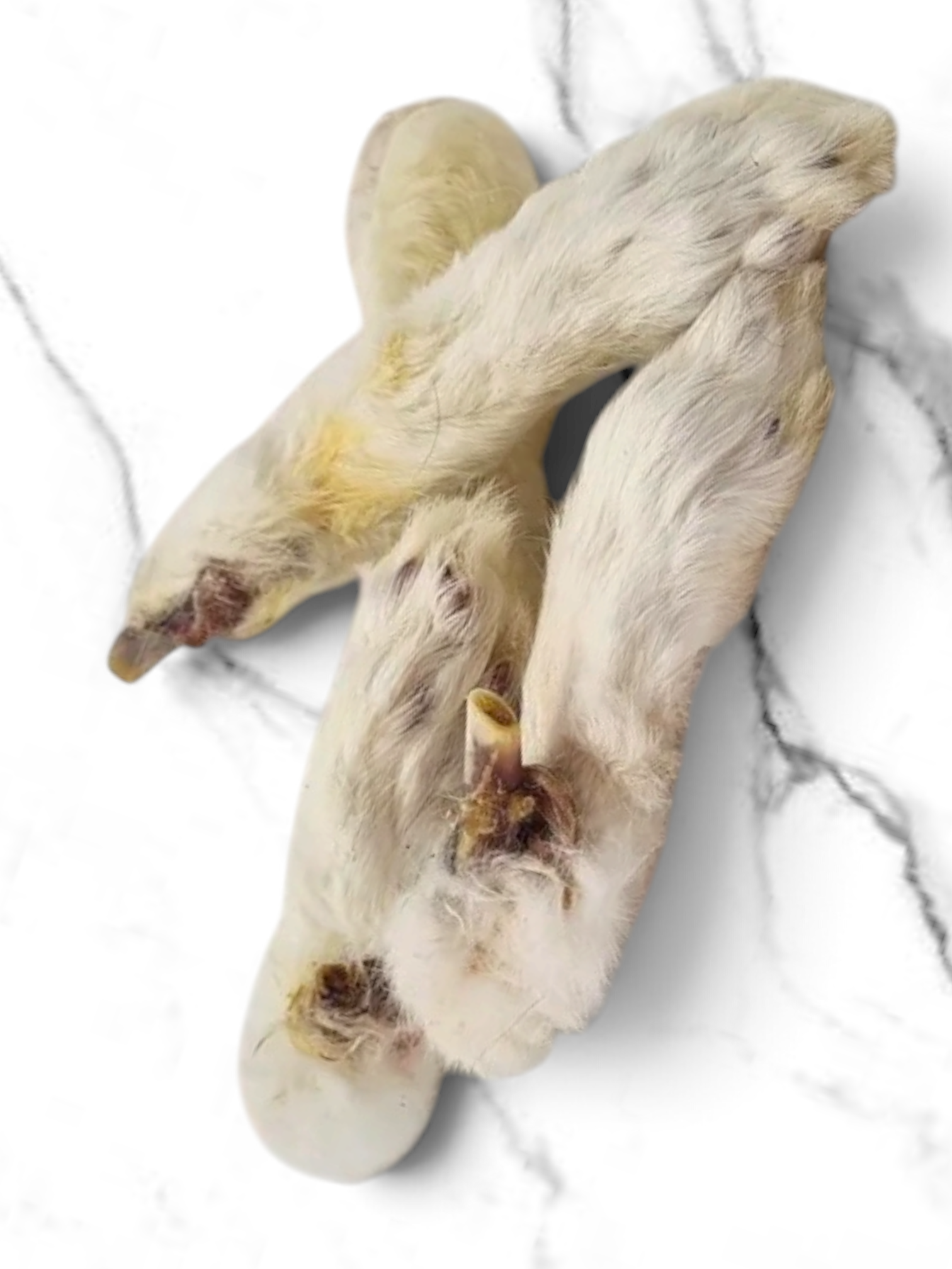 100% Natural Premium Hairy Rabbit Feet For Dogs and Puppies