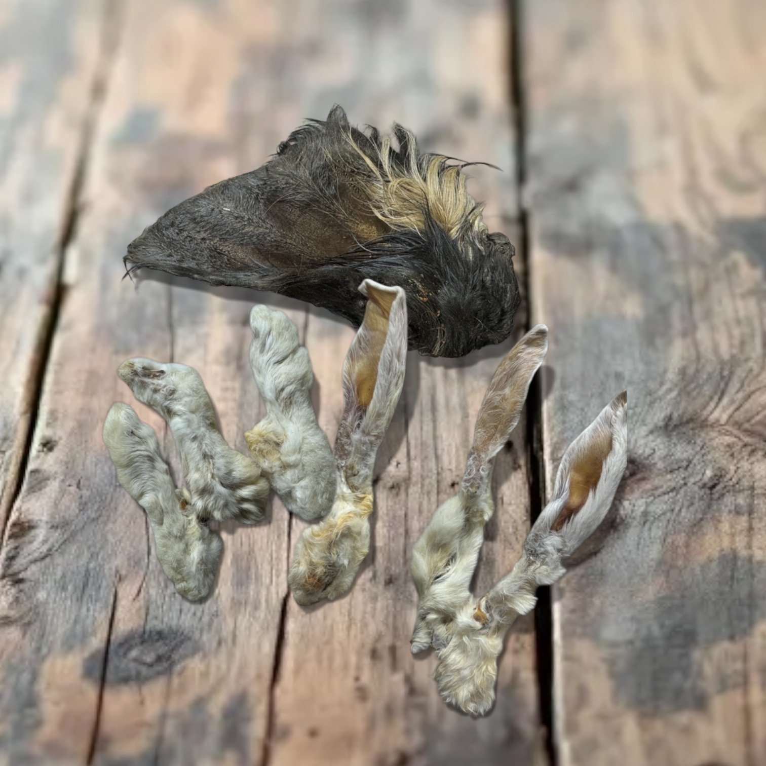 Hair Today gone Tomorrow - Natural Dog & Puppy Treats