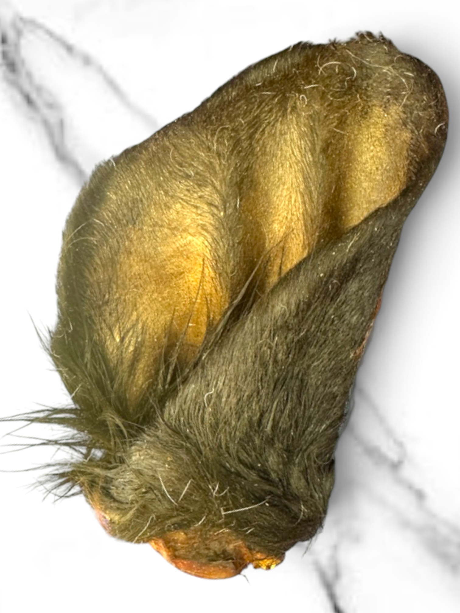 100% Natural Premium Large Cows Ear With Hair For Dogs