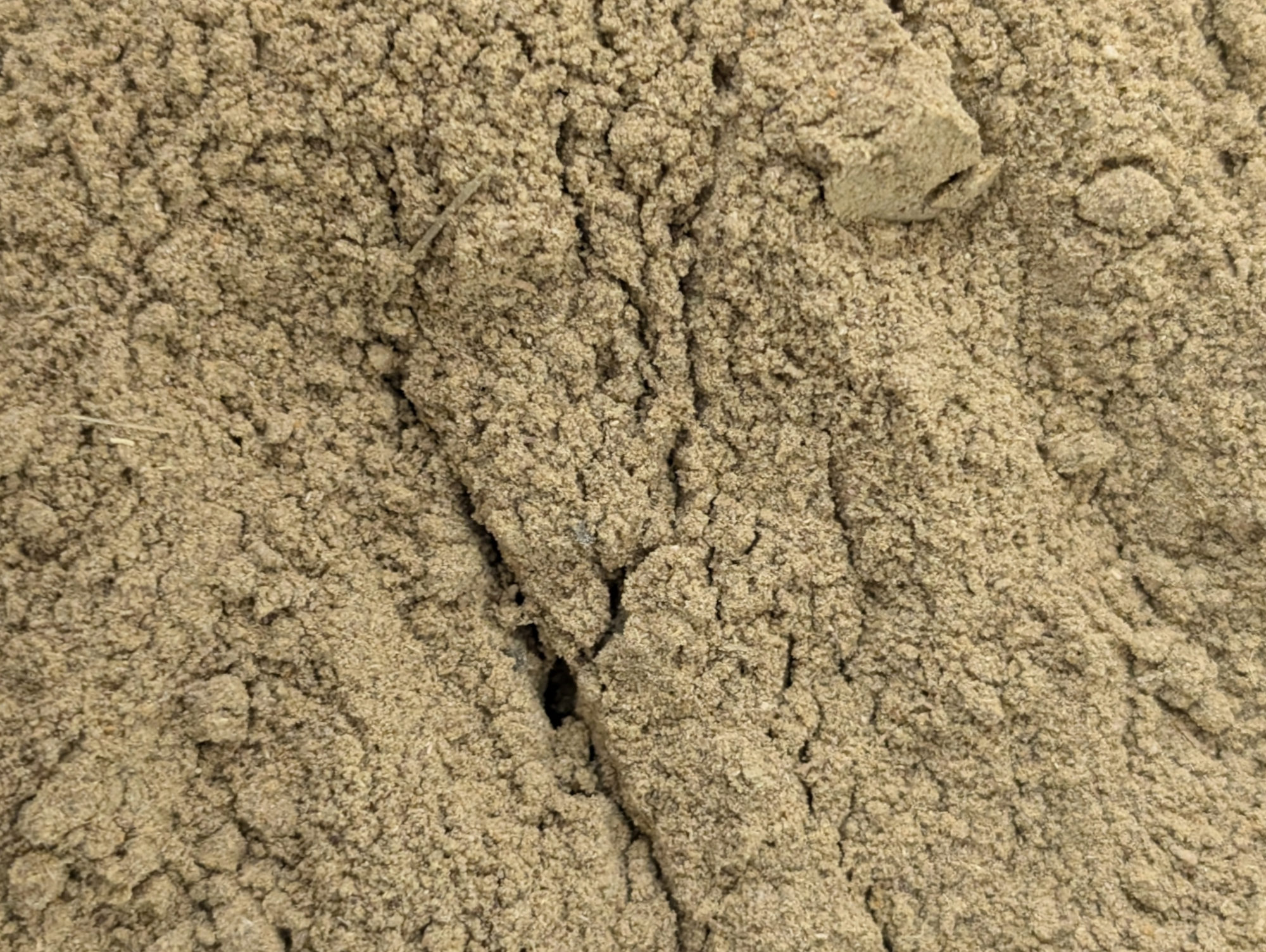 digestive_support_botanical_blend_supplement_for_dogs.png