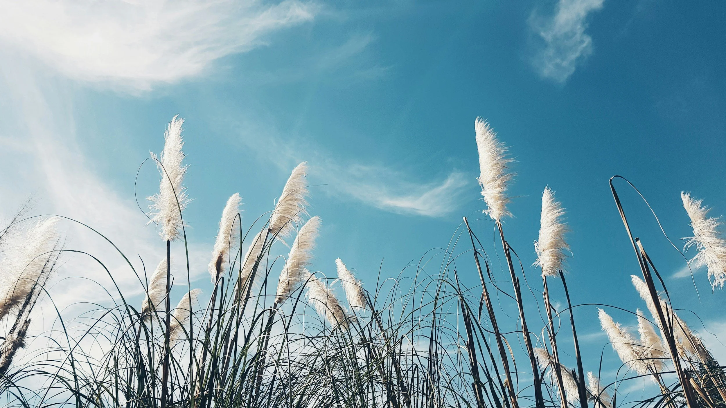 Science Simplified: Air Quality in Your Home