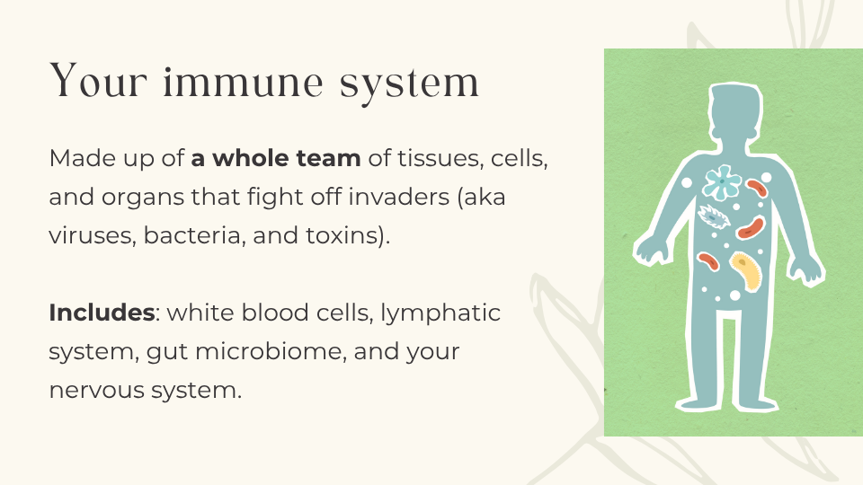 your immune system graphic