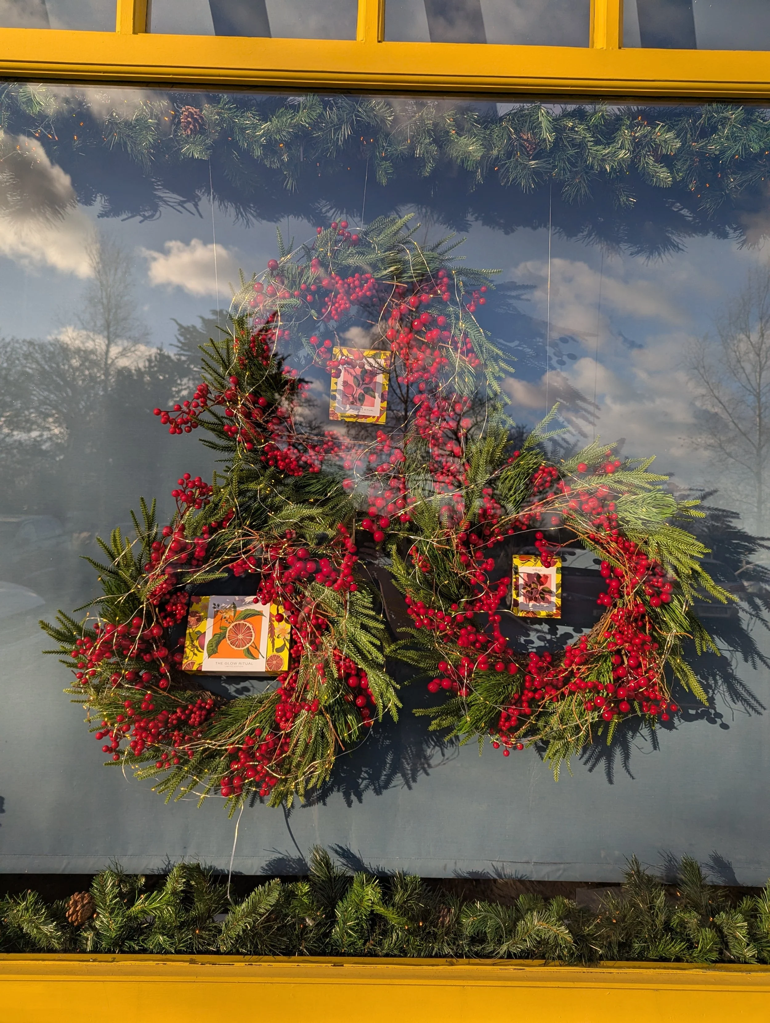Christmas Window display healthfood shop ireland