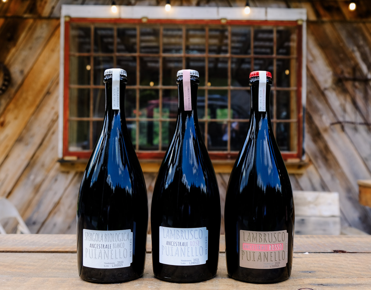 Screen Shot 2022-07-25 at 1.26.13 PM.png