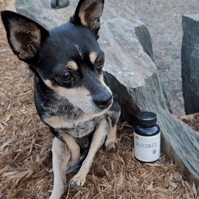 FD Toxic Bite supplement.gif
