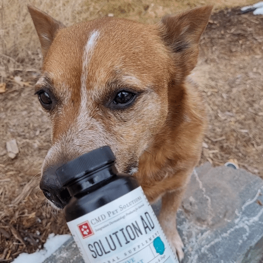 Solution AD Active Damp Heat supplement.gif