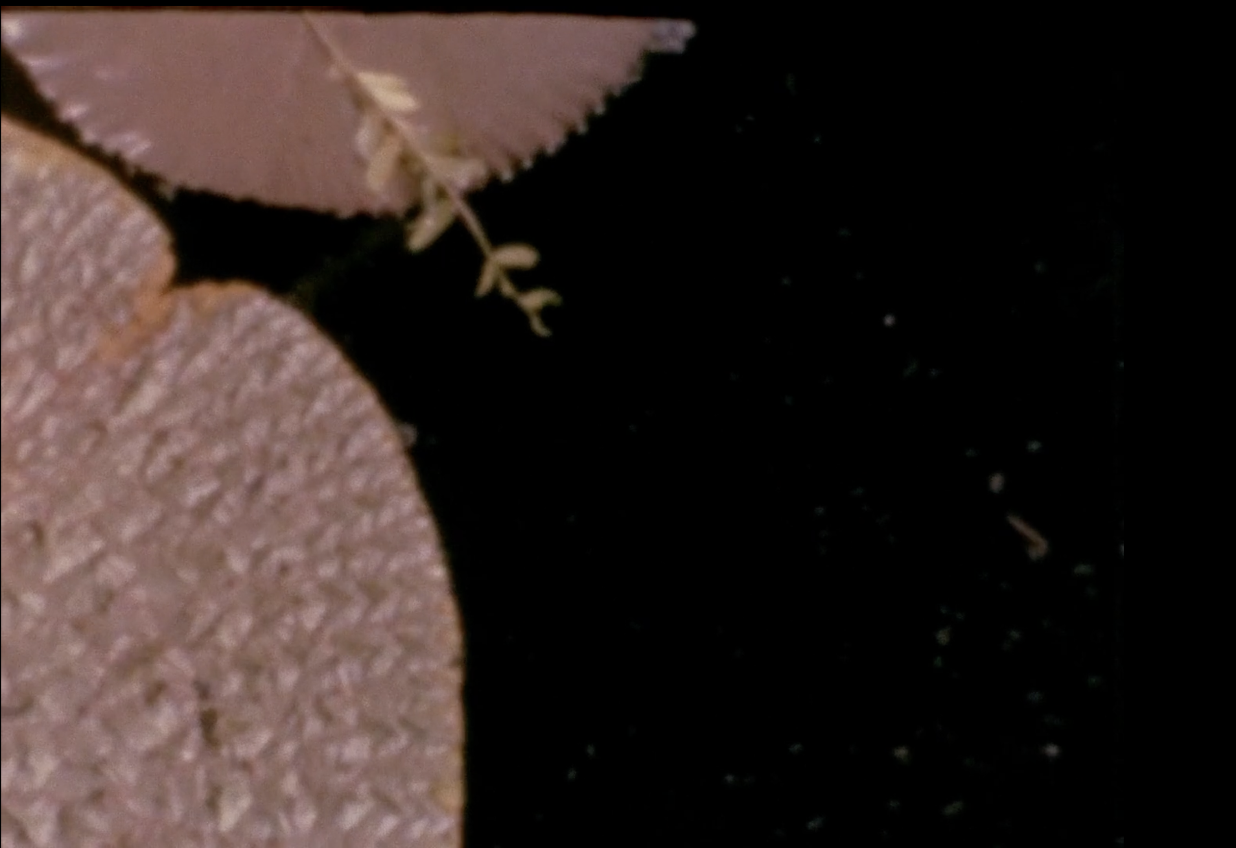 Screen Shot 2023-06-19 at 4.10.39 PM.png