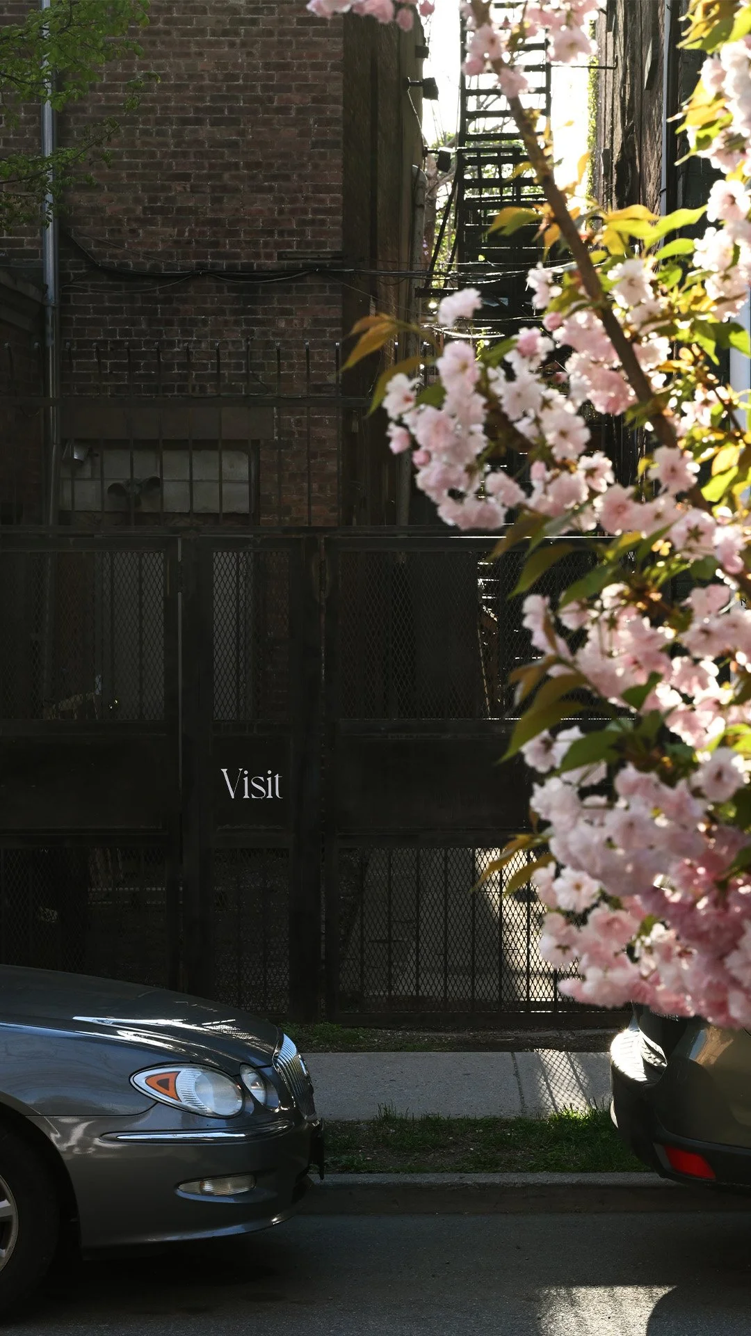 Visit Gate.jpg