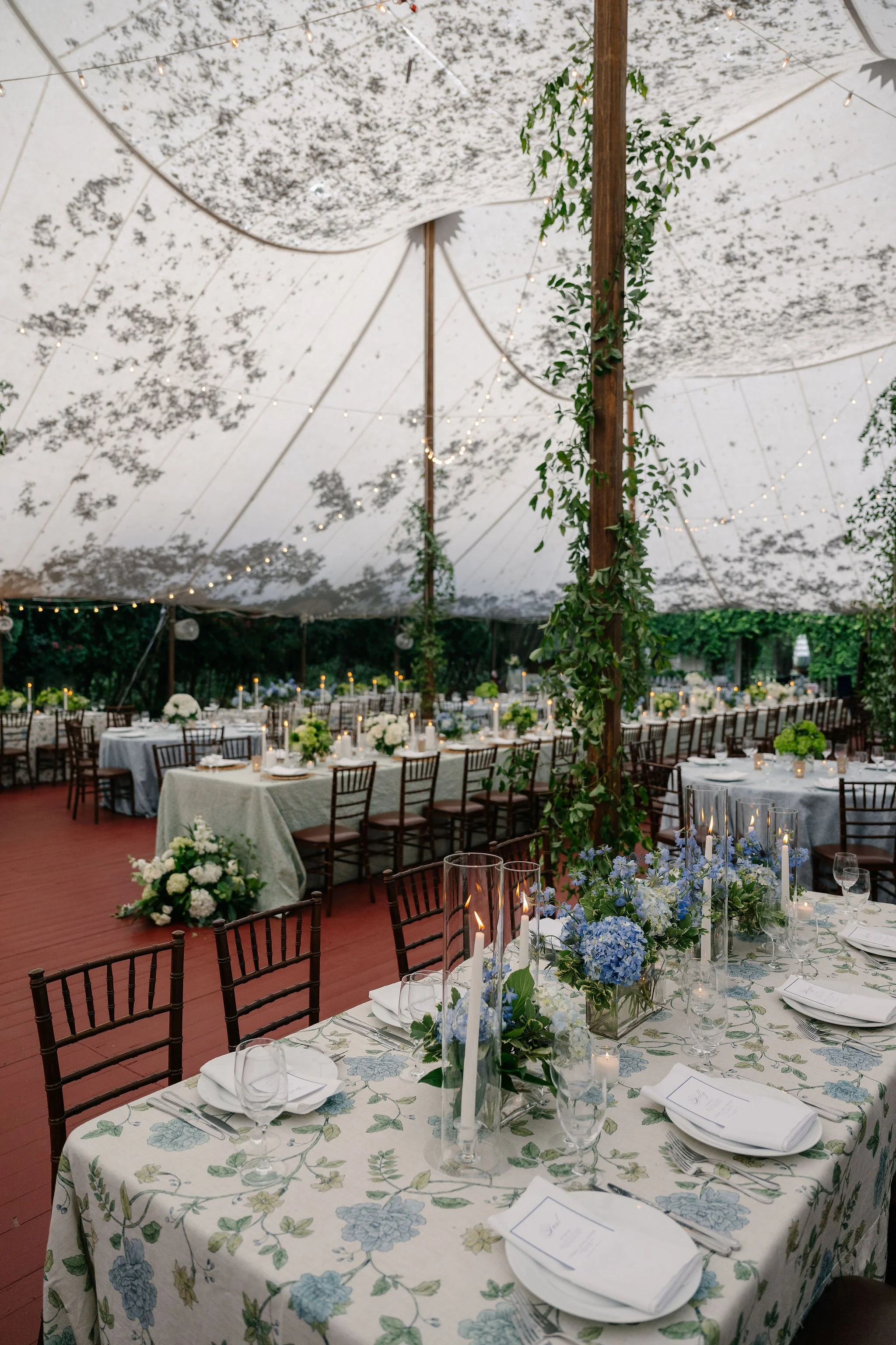 Charlottesville virginia Best wedding photographer