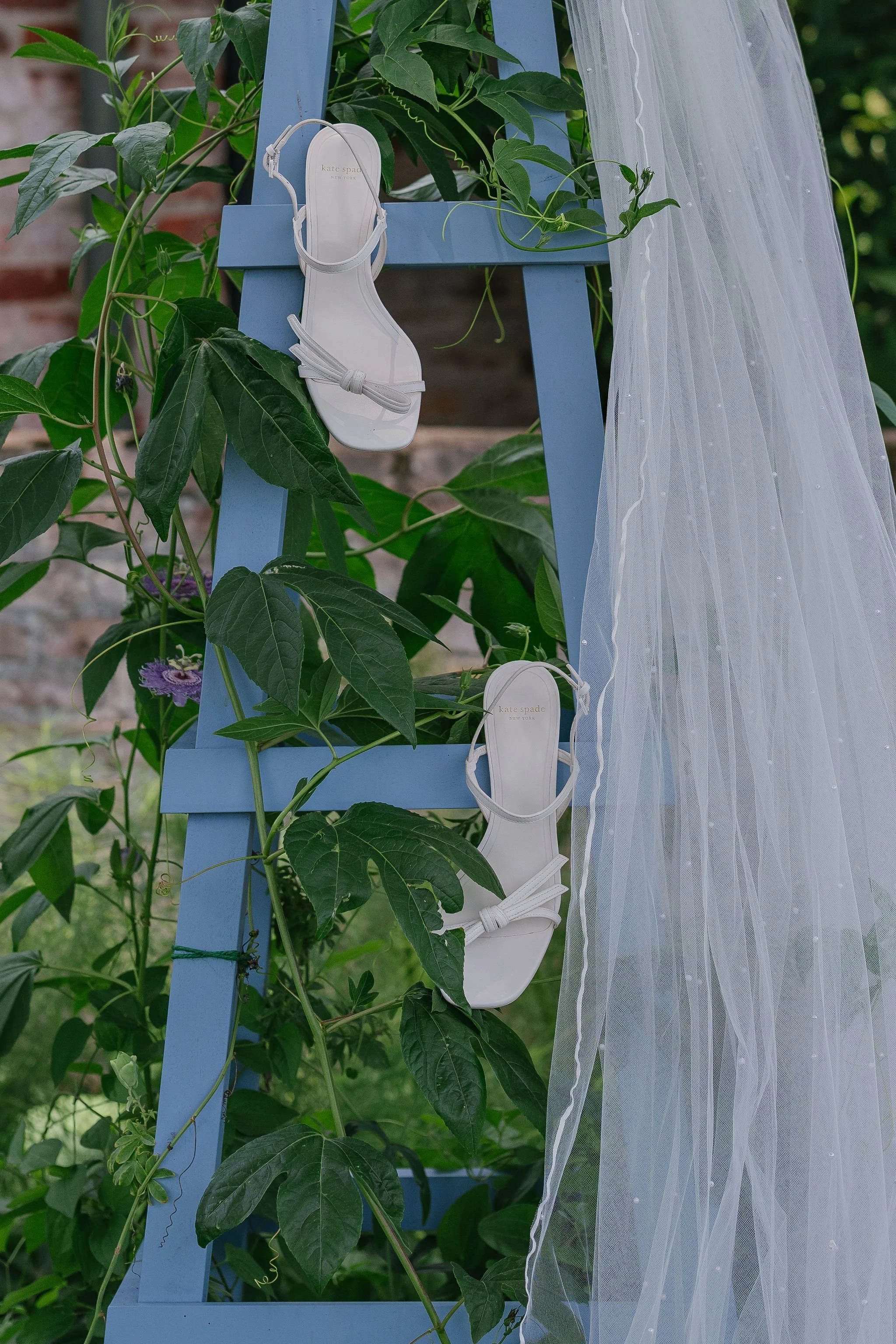 Charlottesville Virginia Best wedding photographer