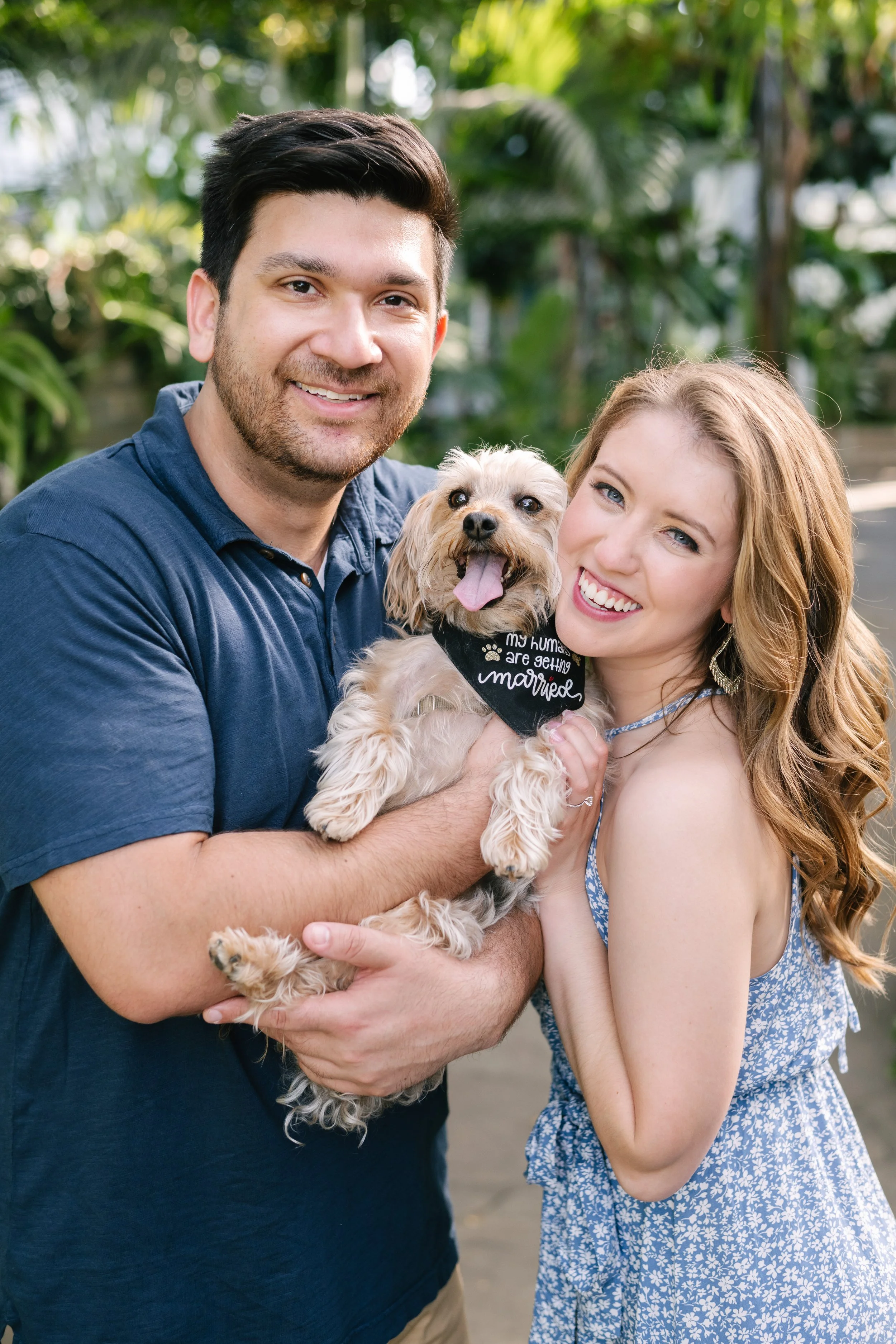 Virginia Engagement session