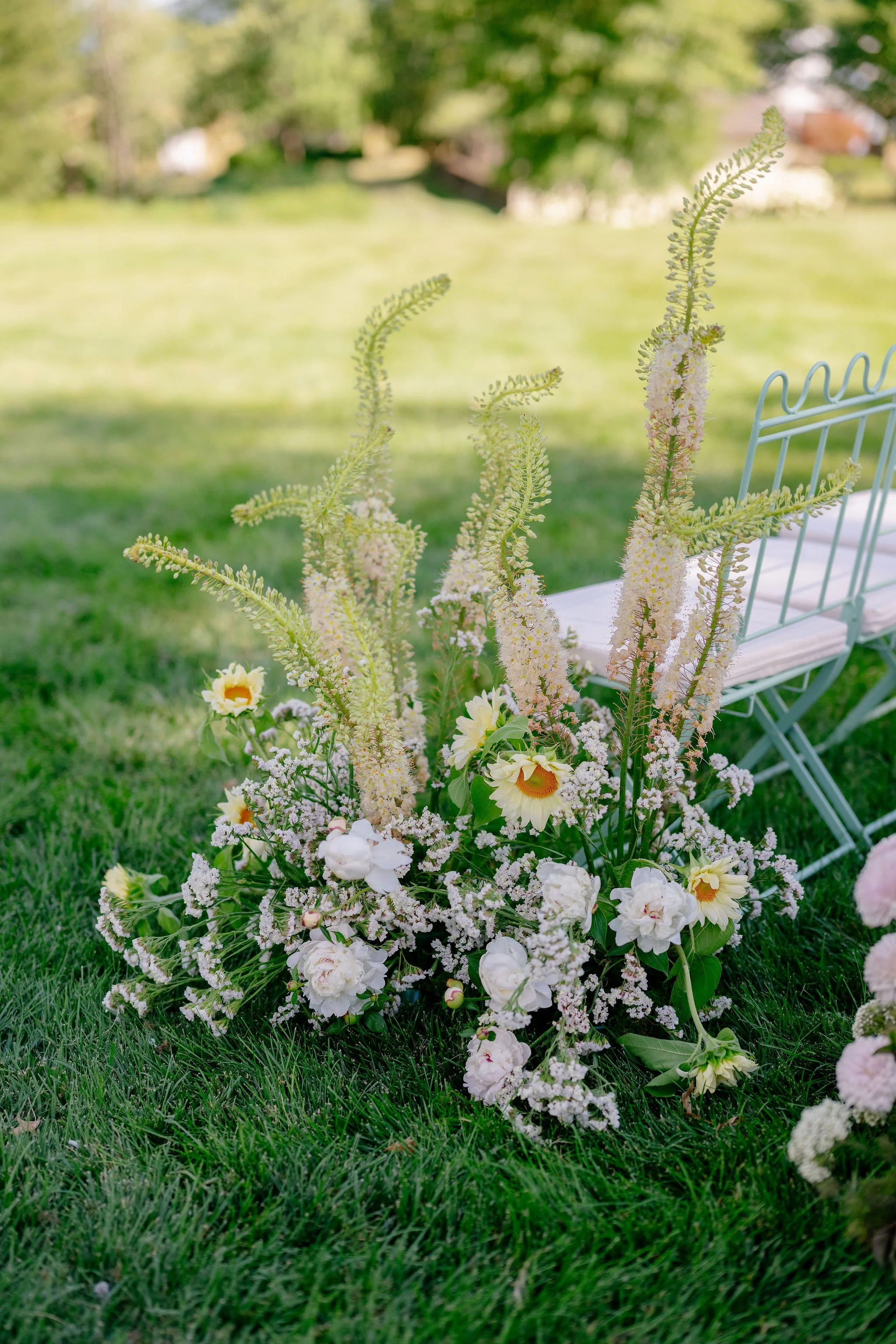 Charlottesville Virginia Best wedding photographer