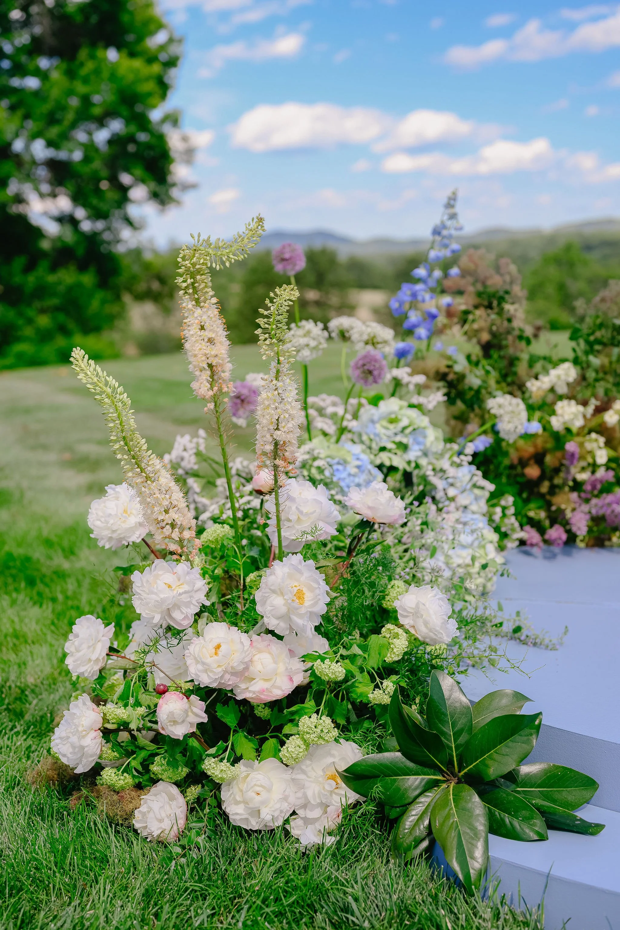 Charlottesville Virginia Best wedding photographer