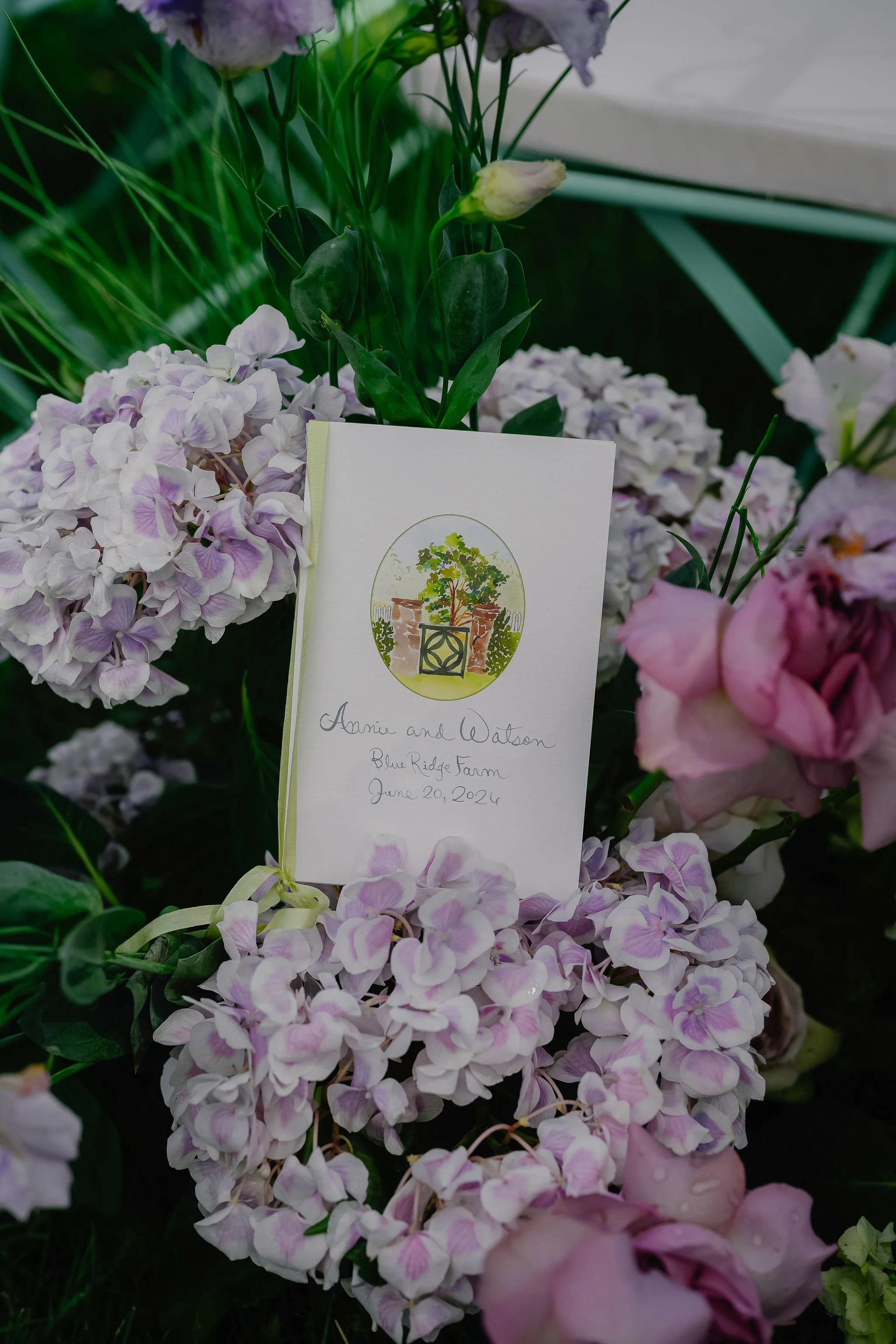 Charlottesville Virginia Best wedding photographer