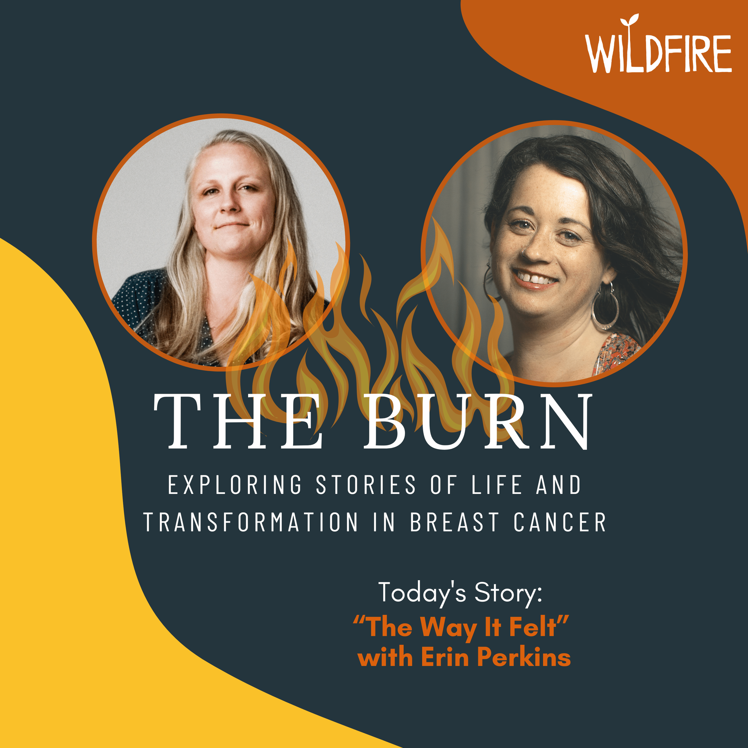 “The Way It Felt” with Erin Perkins