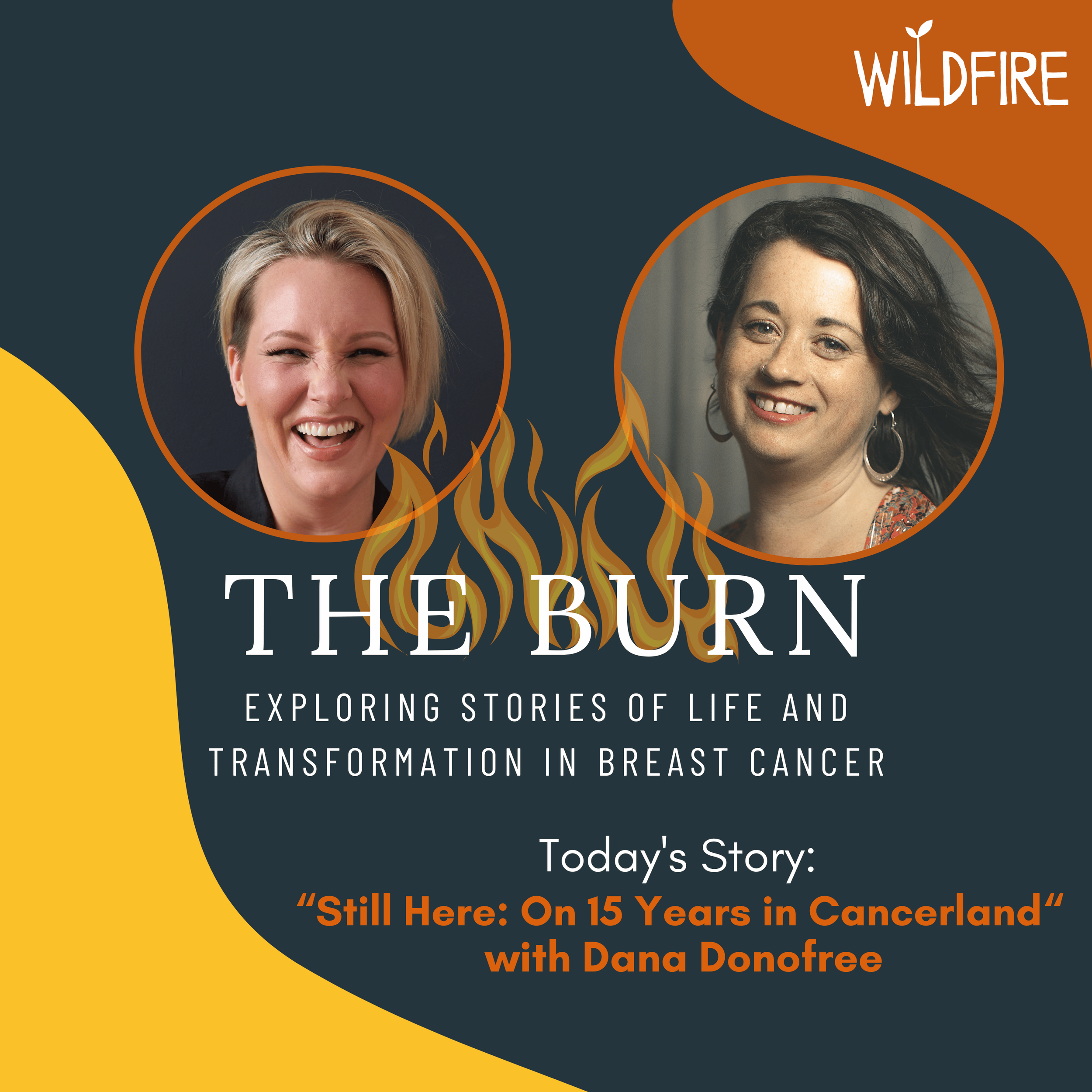 Still Here: On 15 Years in Cancerland with Dana Donofree