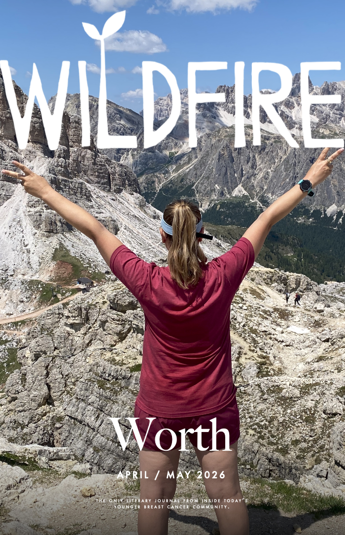 Wildfire Journal Worth issue