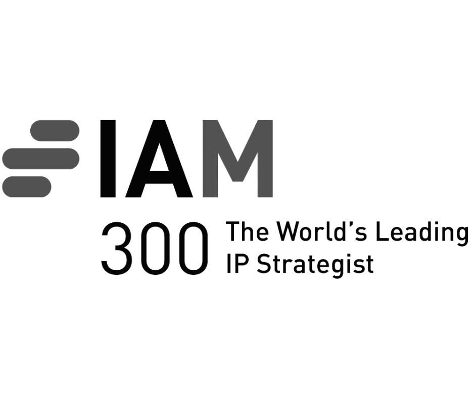 IAM300 leading strategist_patent attorney.png