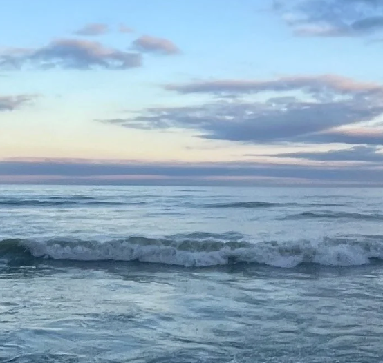 Equiterra: CoCreative Leadership Serving The Whole